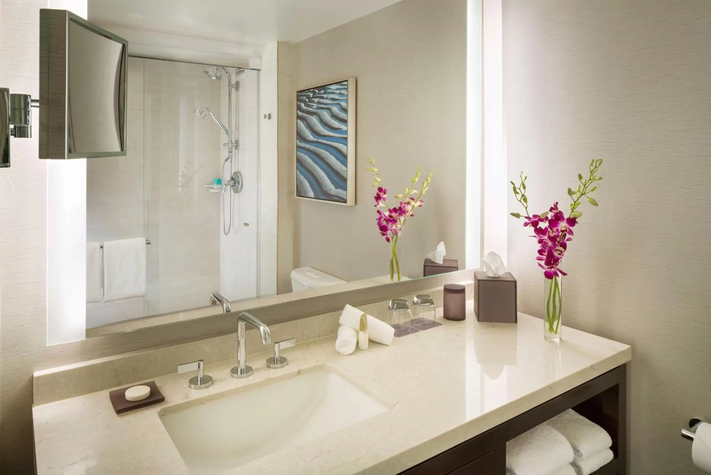 Double Room with Accessible Tub - Disability Access in Hyatt Regency San Francisco Airport
