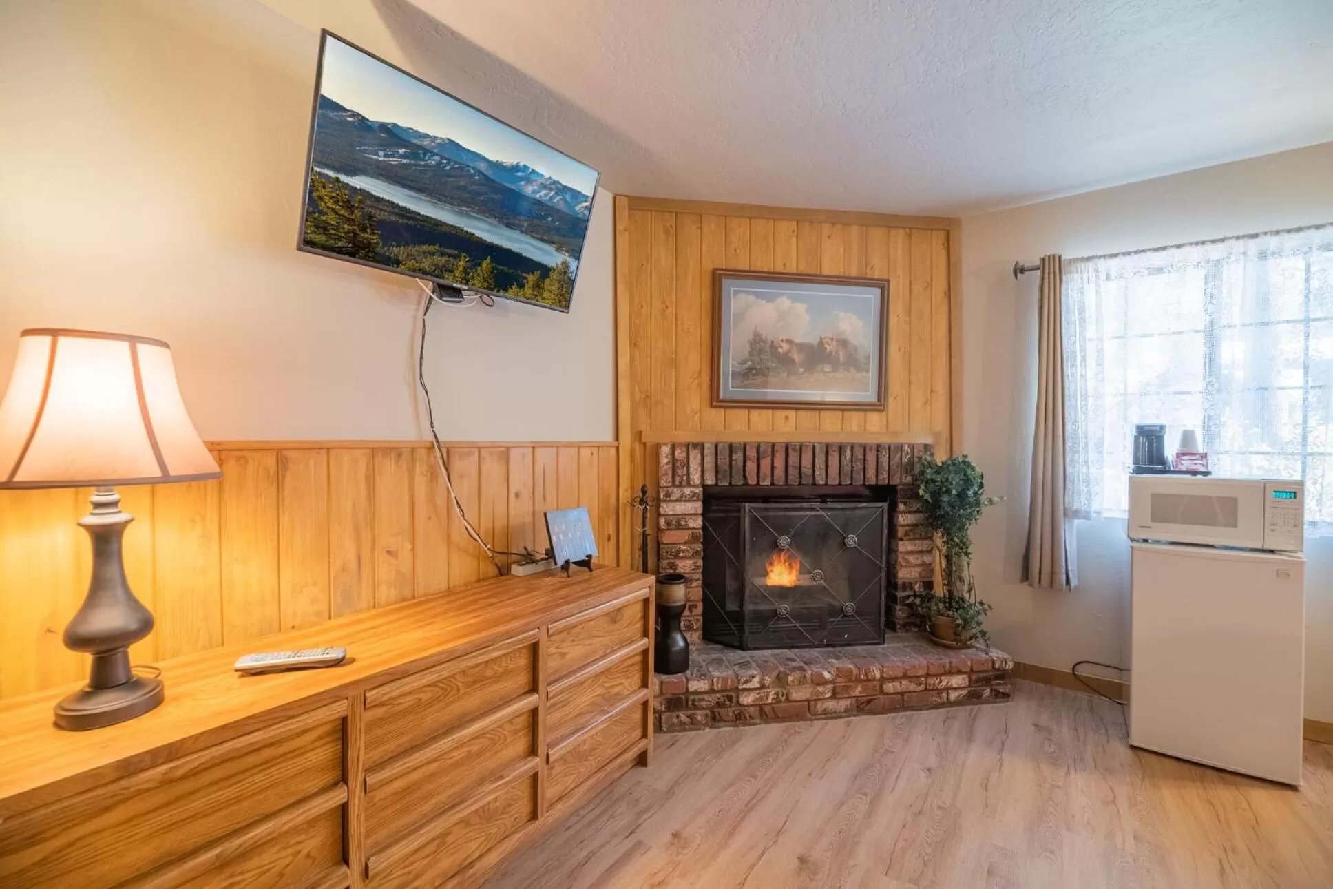 TV and multimedia in Black Forest Lodge