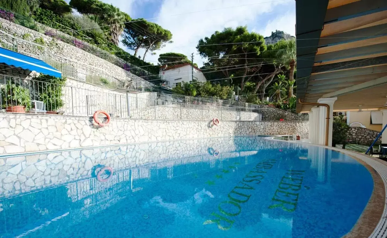 Swimming Pool in Hotel Weber Ambassador