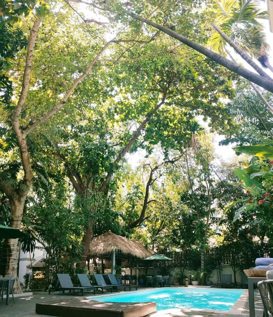 Swimming pool in Jungle Addition