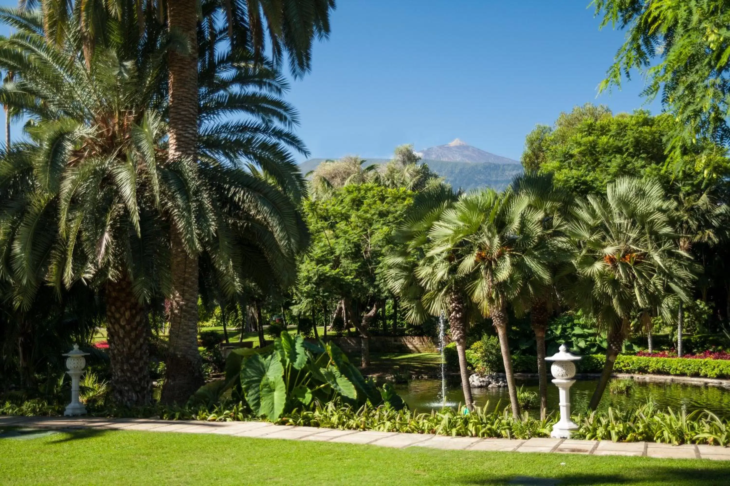 Garden in Hotel Botanico y Oriental Spa Garden