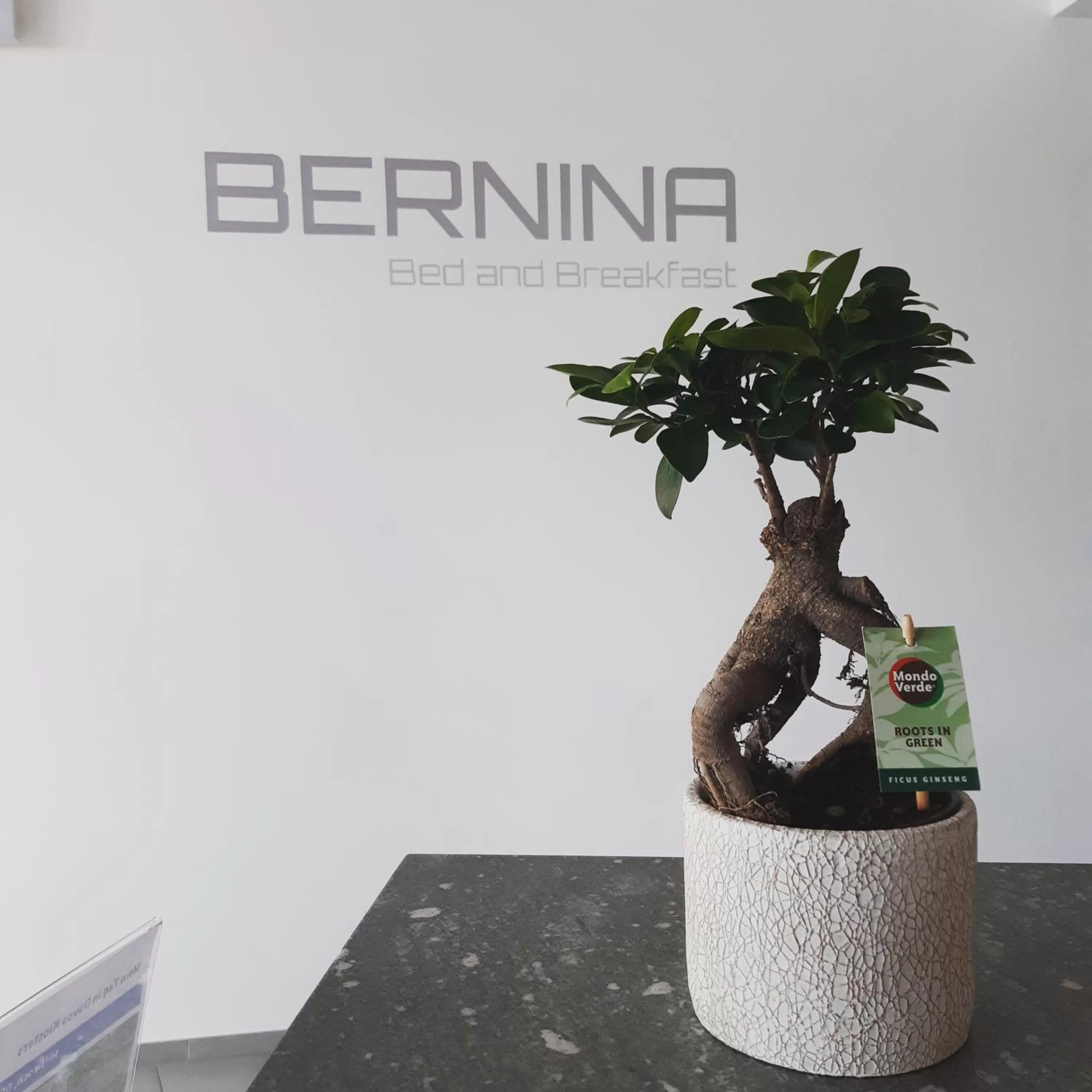 Property logo or sign in Bernina Bed and Breakfast