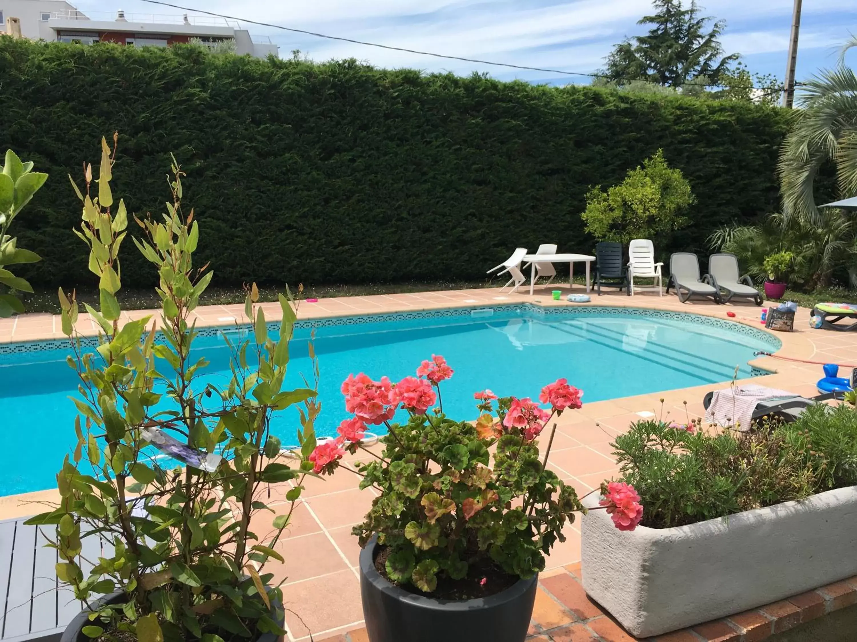Pool view, Swimming Pool in Villa Alessia