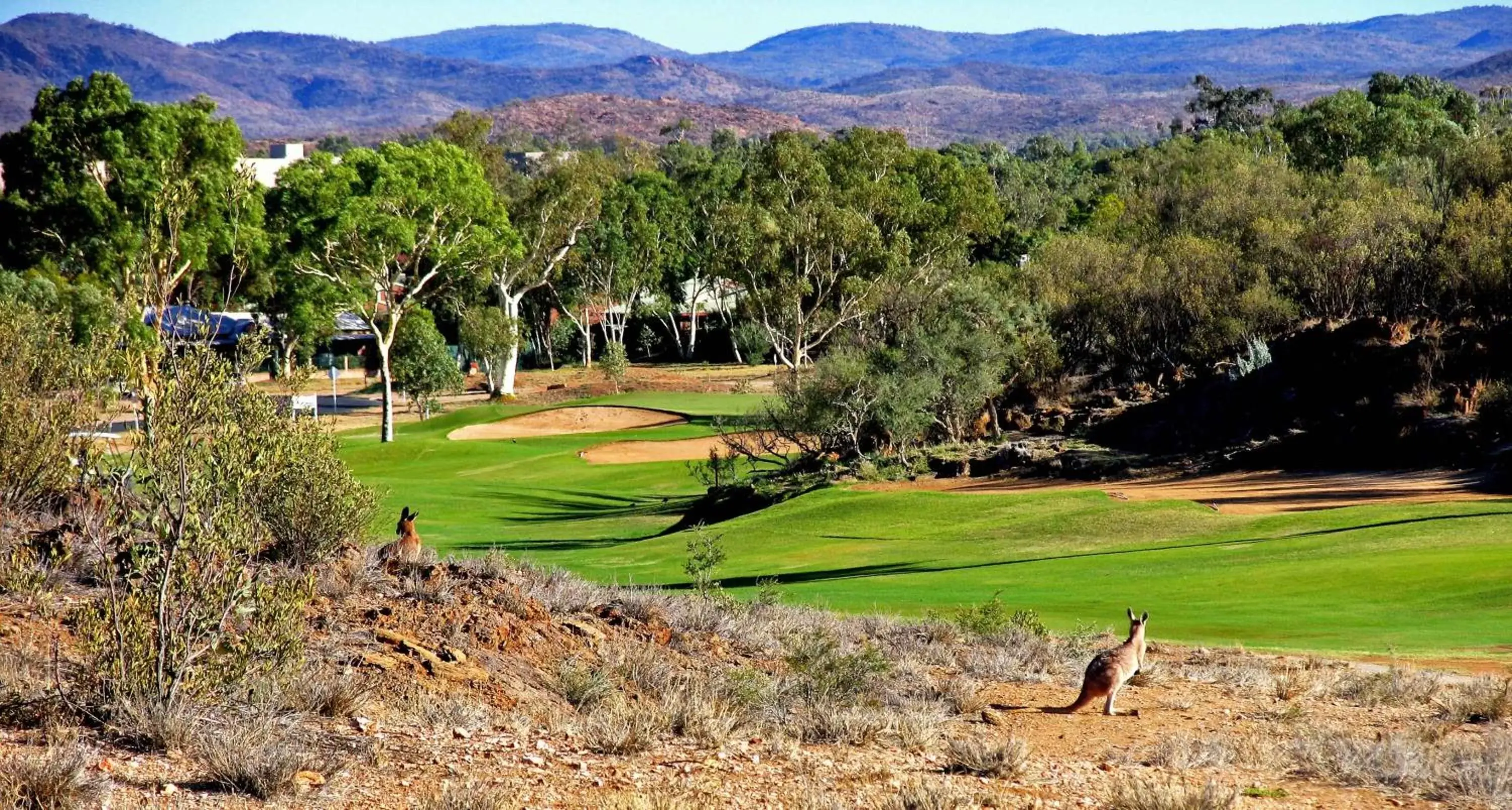 Golfcourse, Natural Landscape in Desert Palms Alice Springs