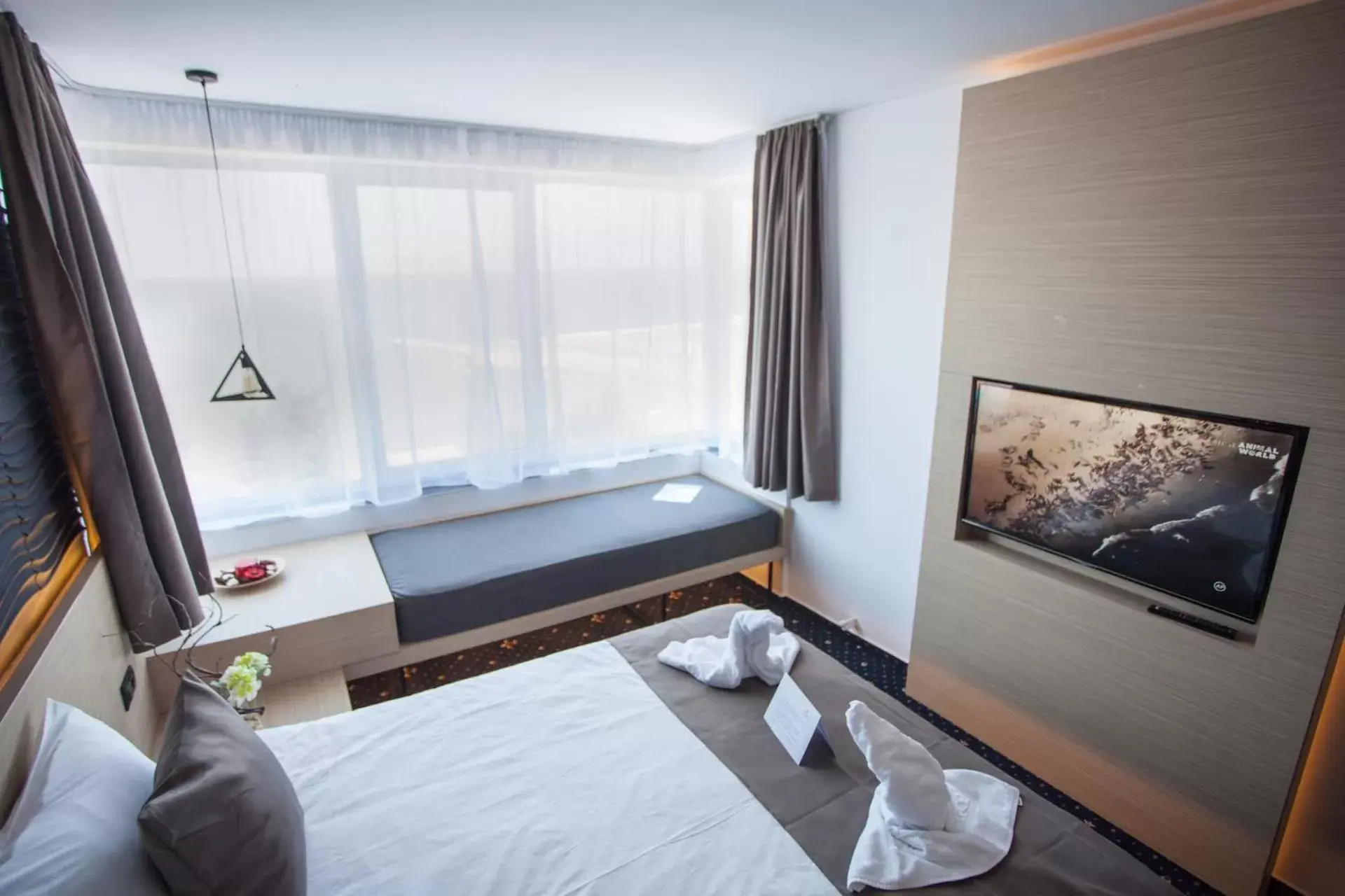 Double Room with Sea View in Aqvatonic Hotel - Steaua de Mare Double Room with Sea View in Aqvatonic Hotel - Steaua de Mare