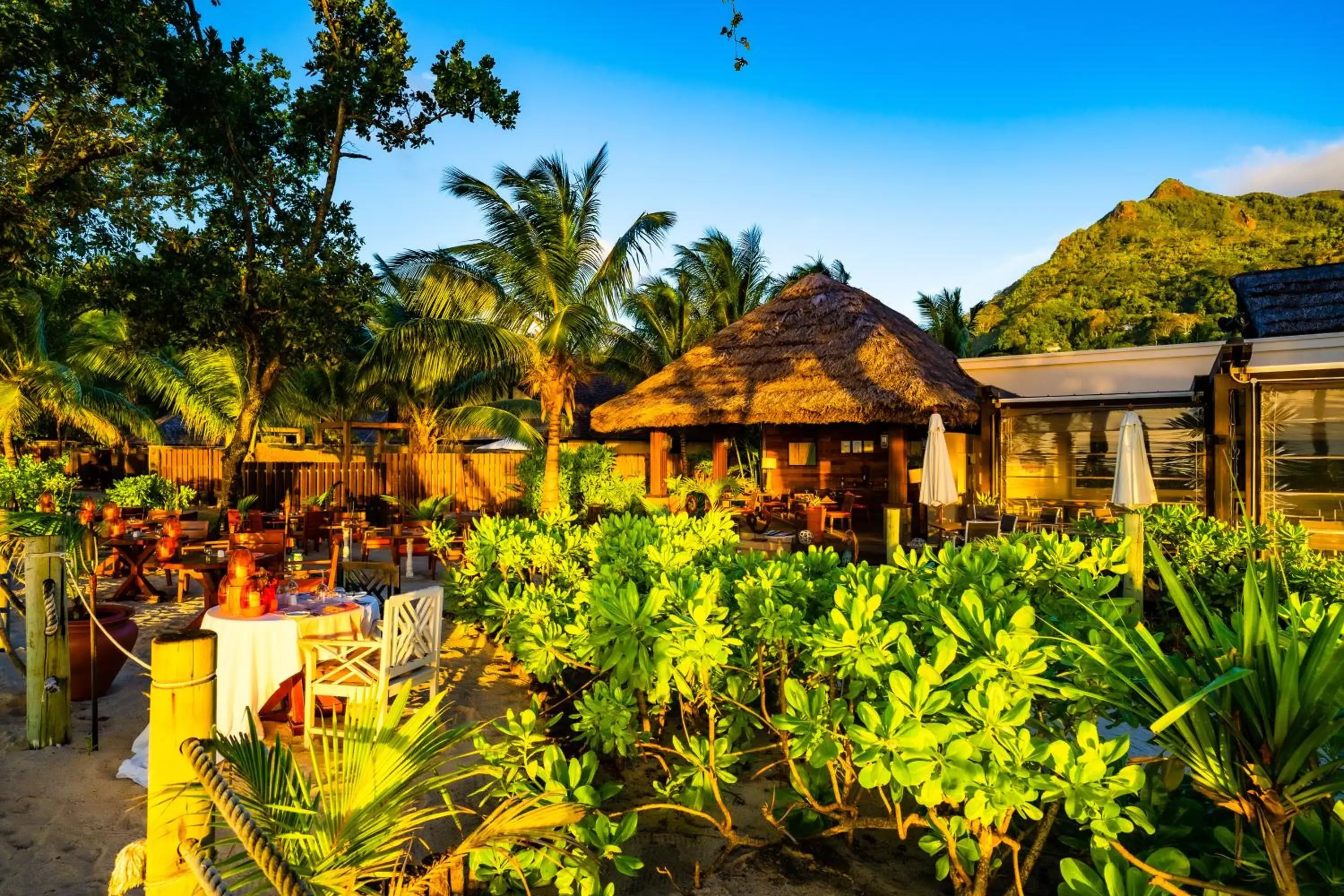 Restaurant/places to eat, Property Building in STORY Seychelles