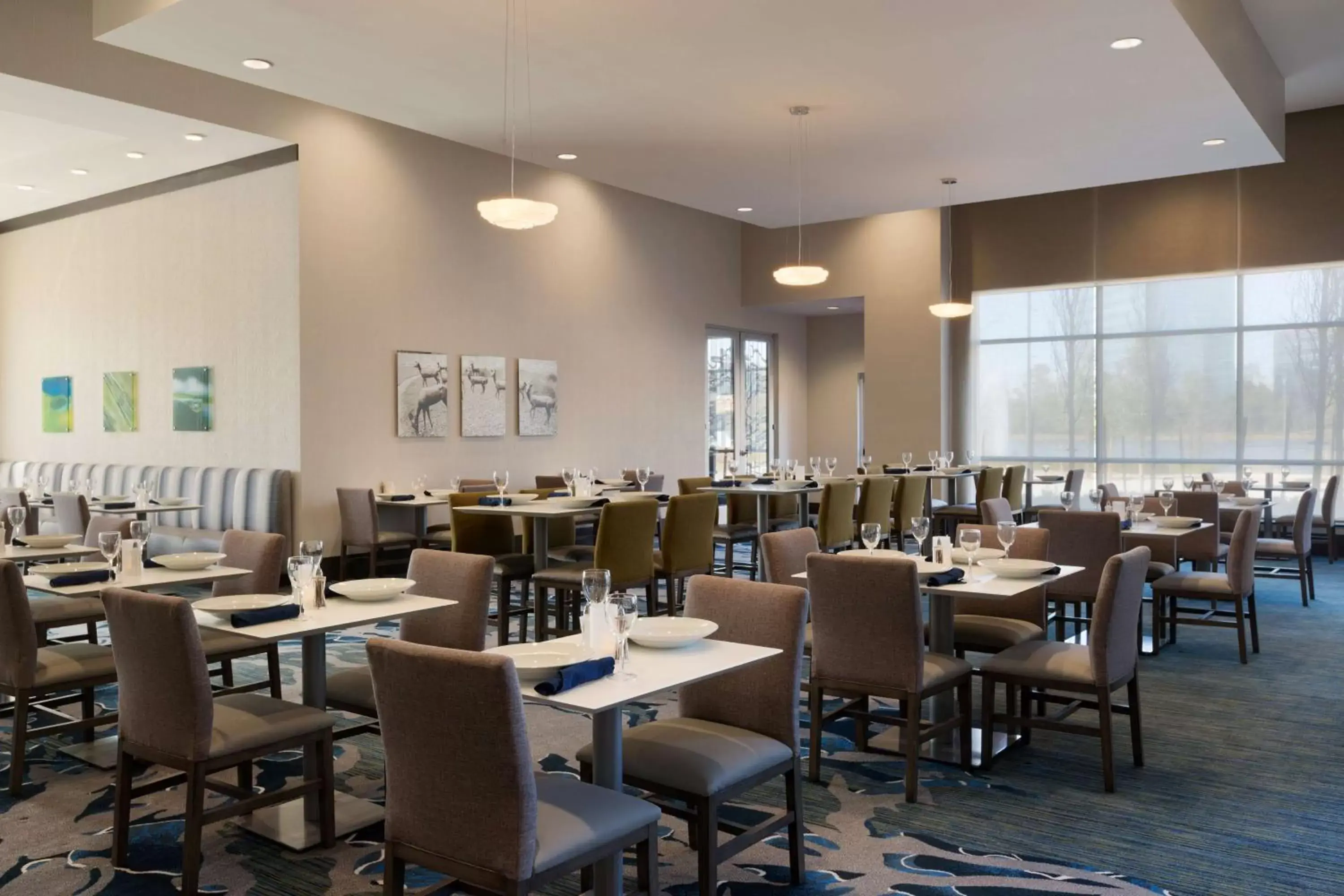 Dining area, Restaurant/Places to Eat in Embassy Suites by Hilton The Woodlands