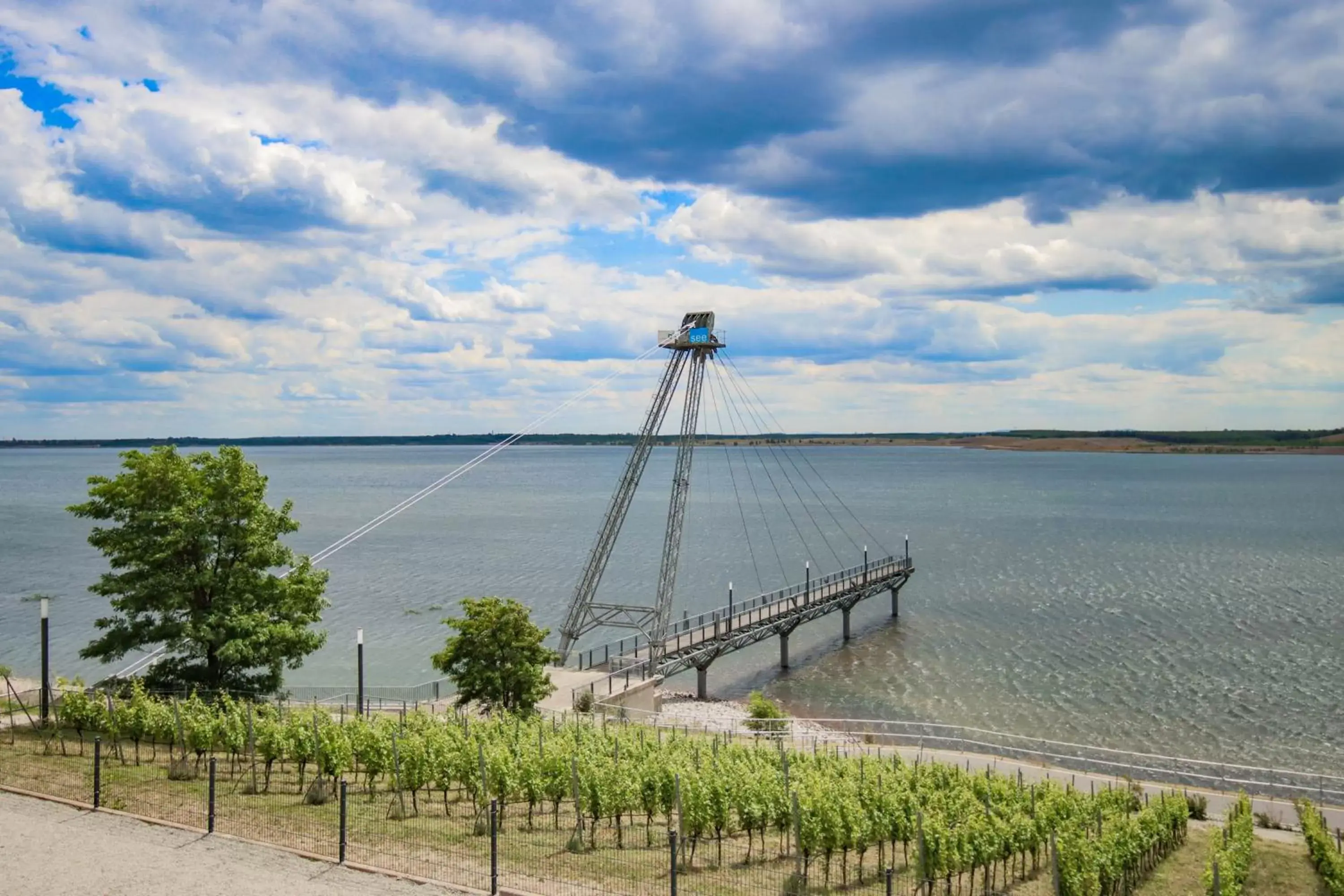 Natural landscape in SeeHotel Großräschen