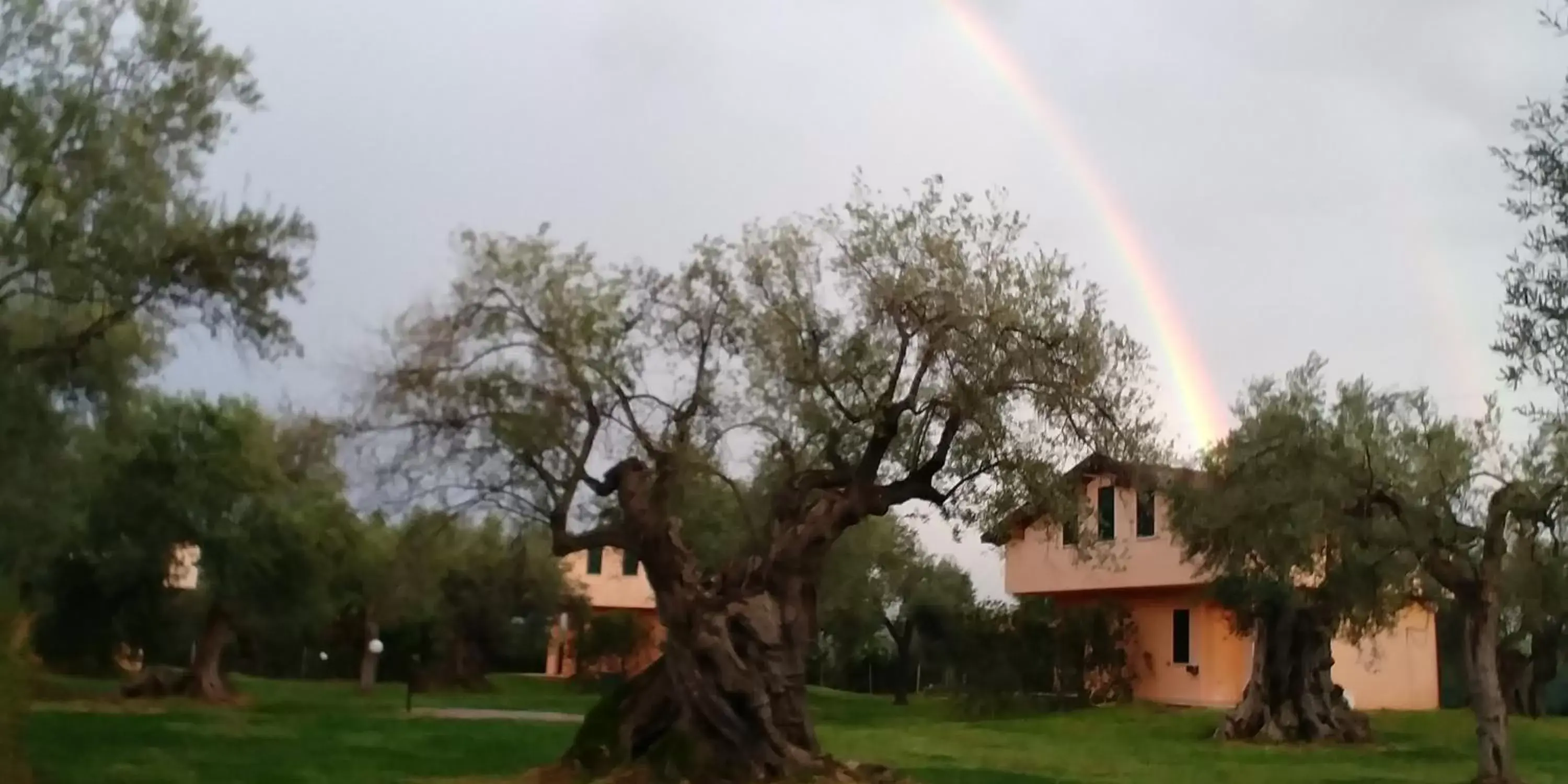 Property Building in La Piana degli Ulivi