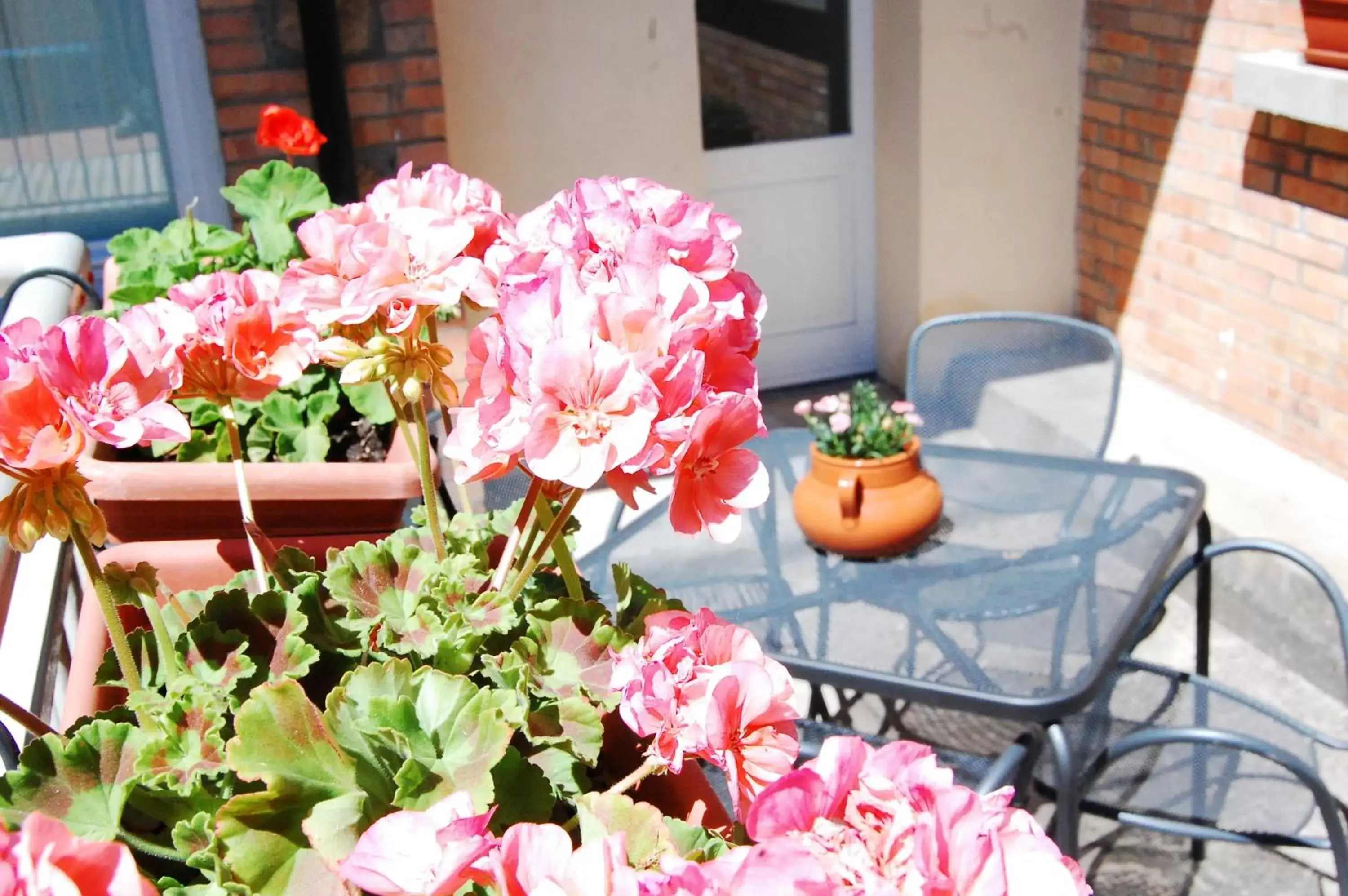 Patio in Hotel La Locanda