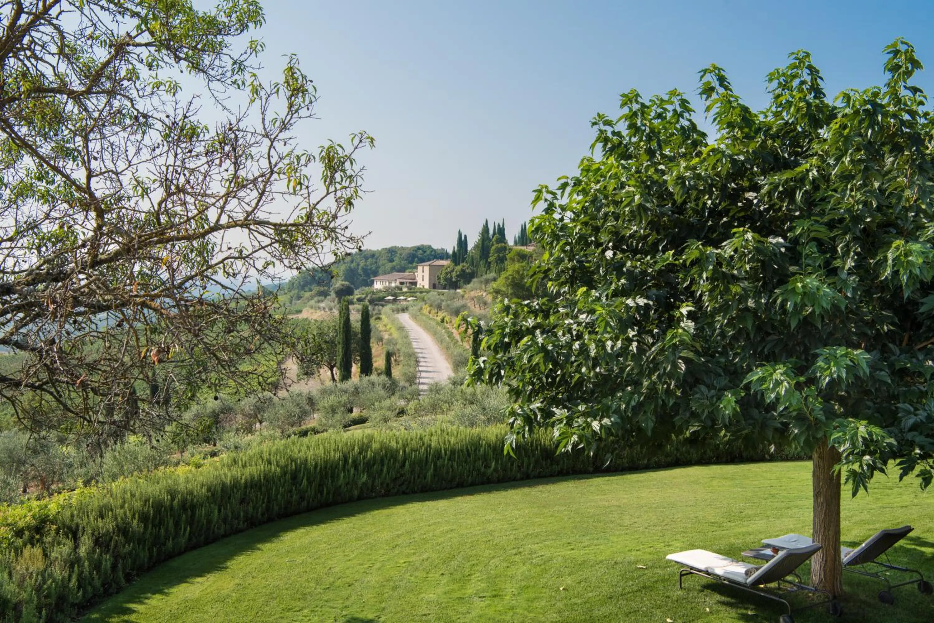 Garden in Hotel Le Fontanelle