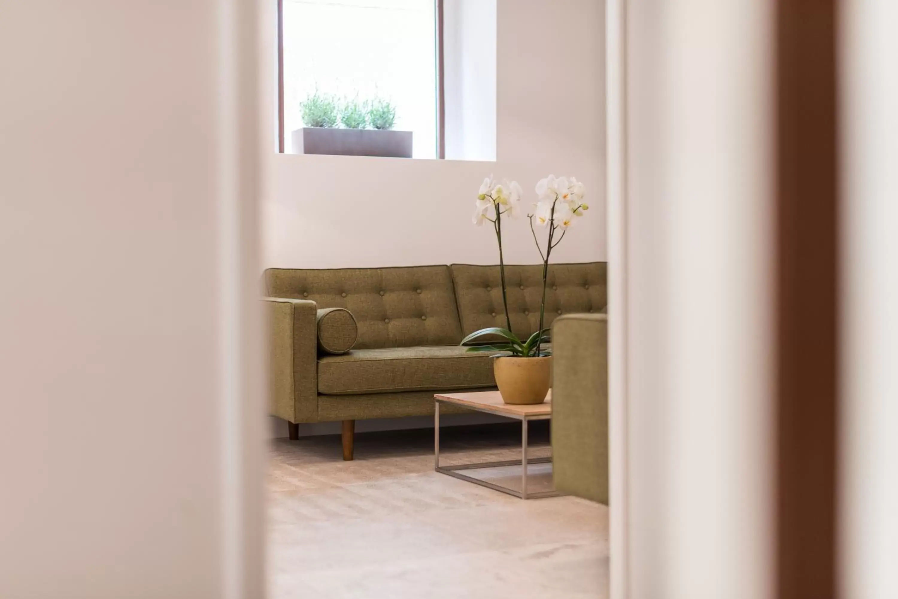 Decorative detail, Seating Area in Hotel Can Mostatxins