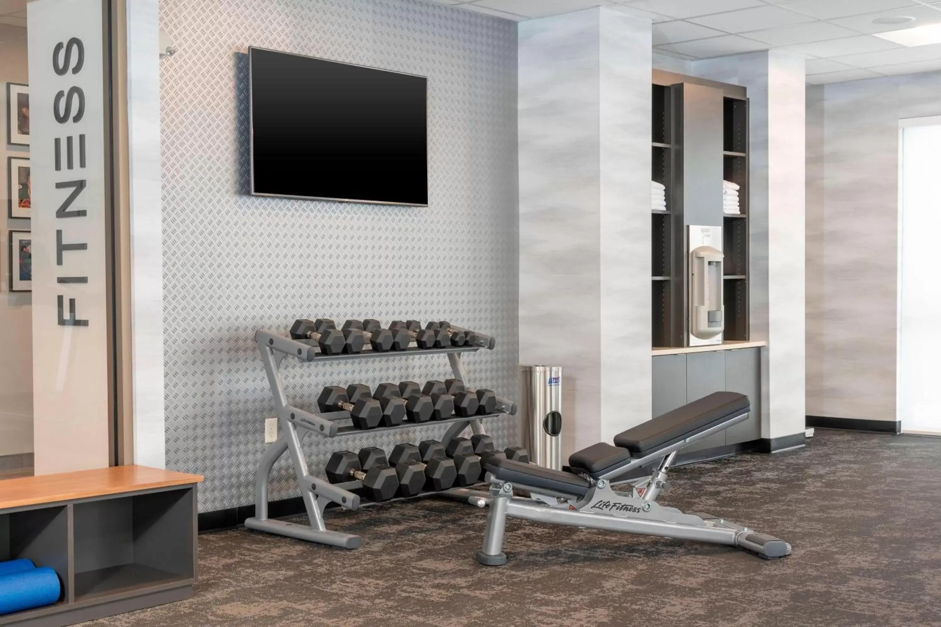 Fitness centre/facilities, Fitness Center/Facilities in Fairfield Inn & Suites by Marriott Fair Oaks Farms