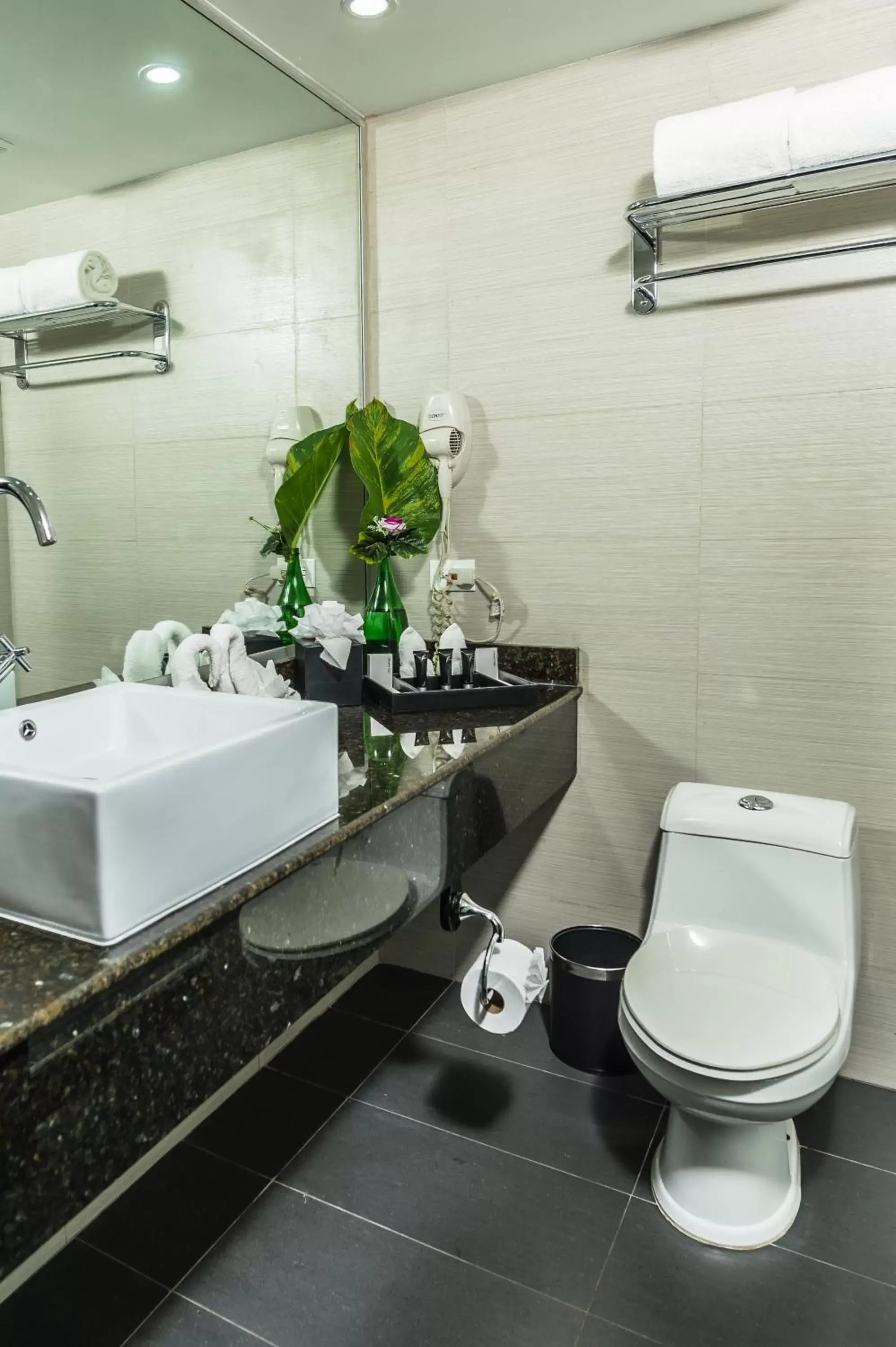 Toilet, Bathroom in Riande Aeropuerto Hotel Casino