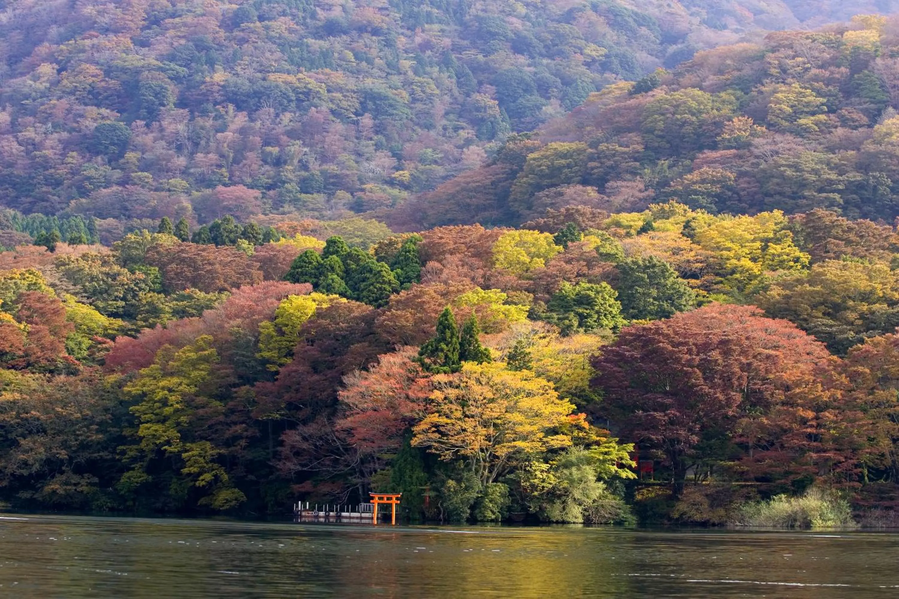 Natural landscape in Hakone Hotel