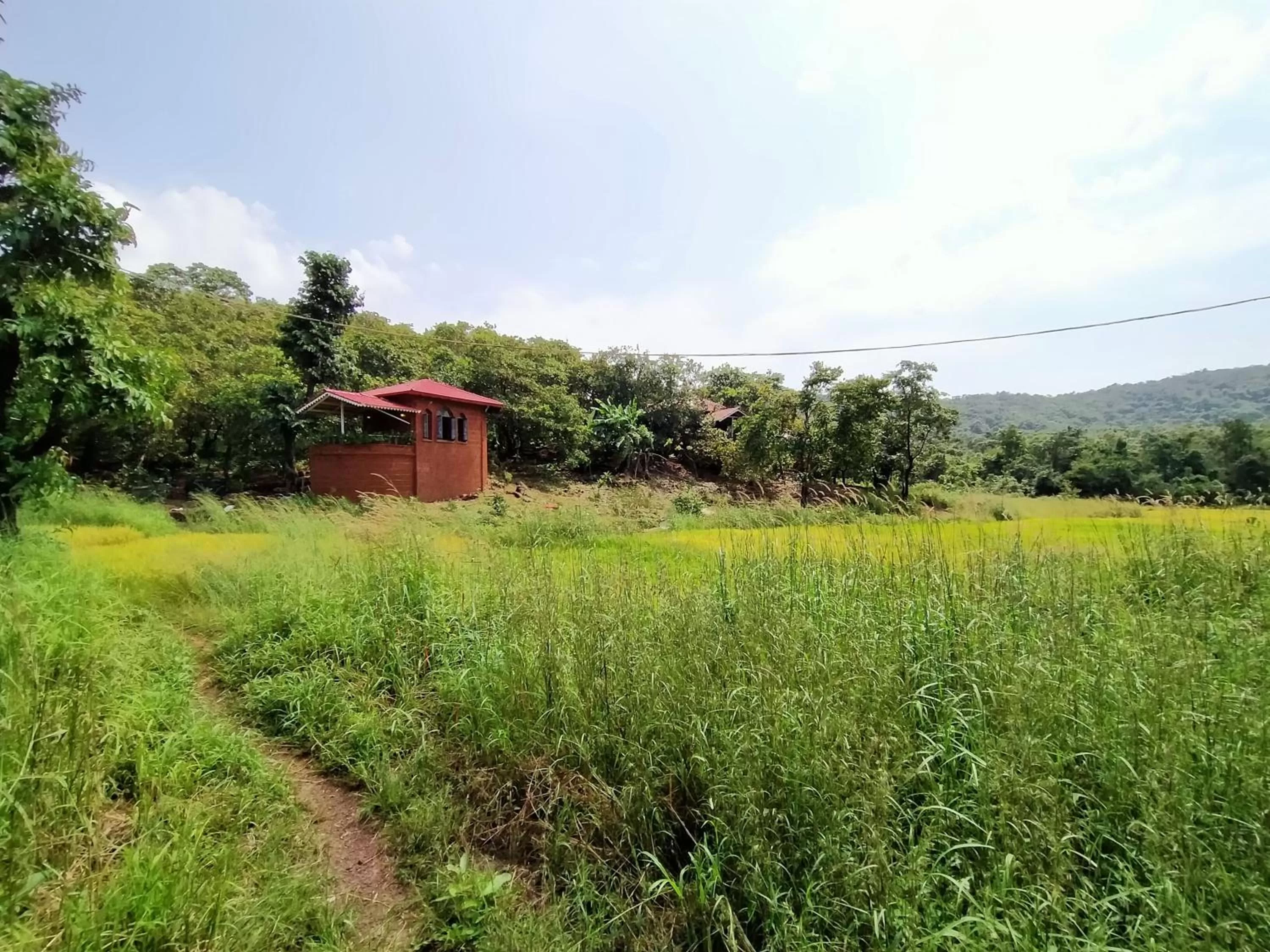 Natural landscape in Porsu