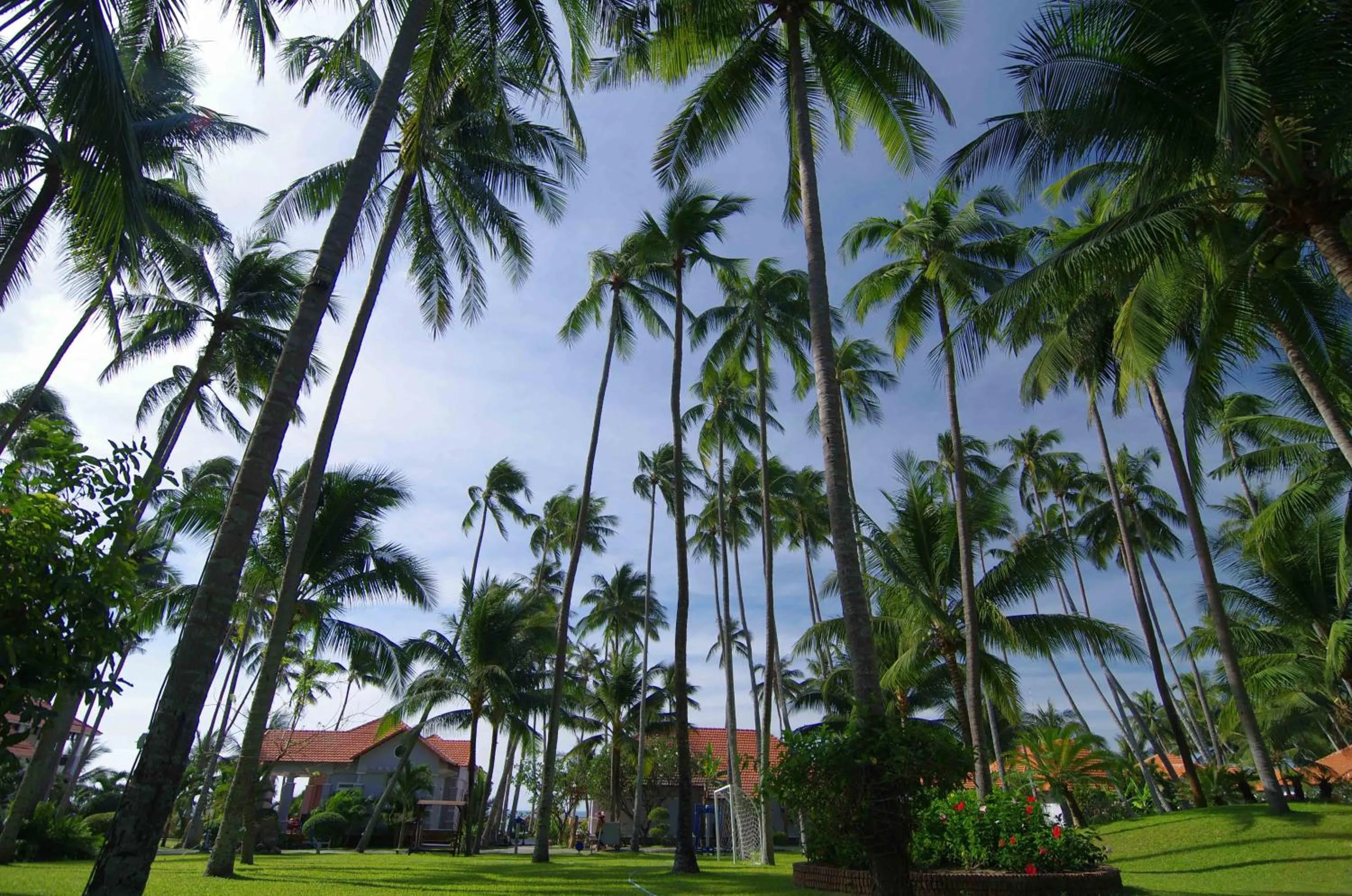 Garden in Muine Century Beach Resort & Spa