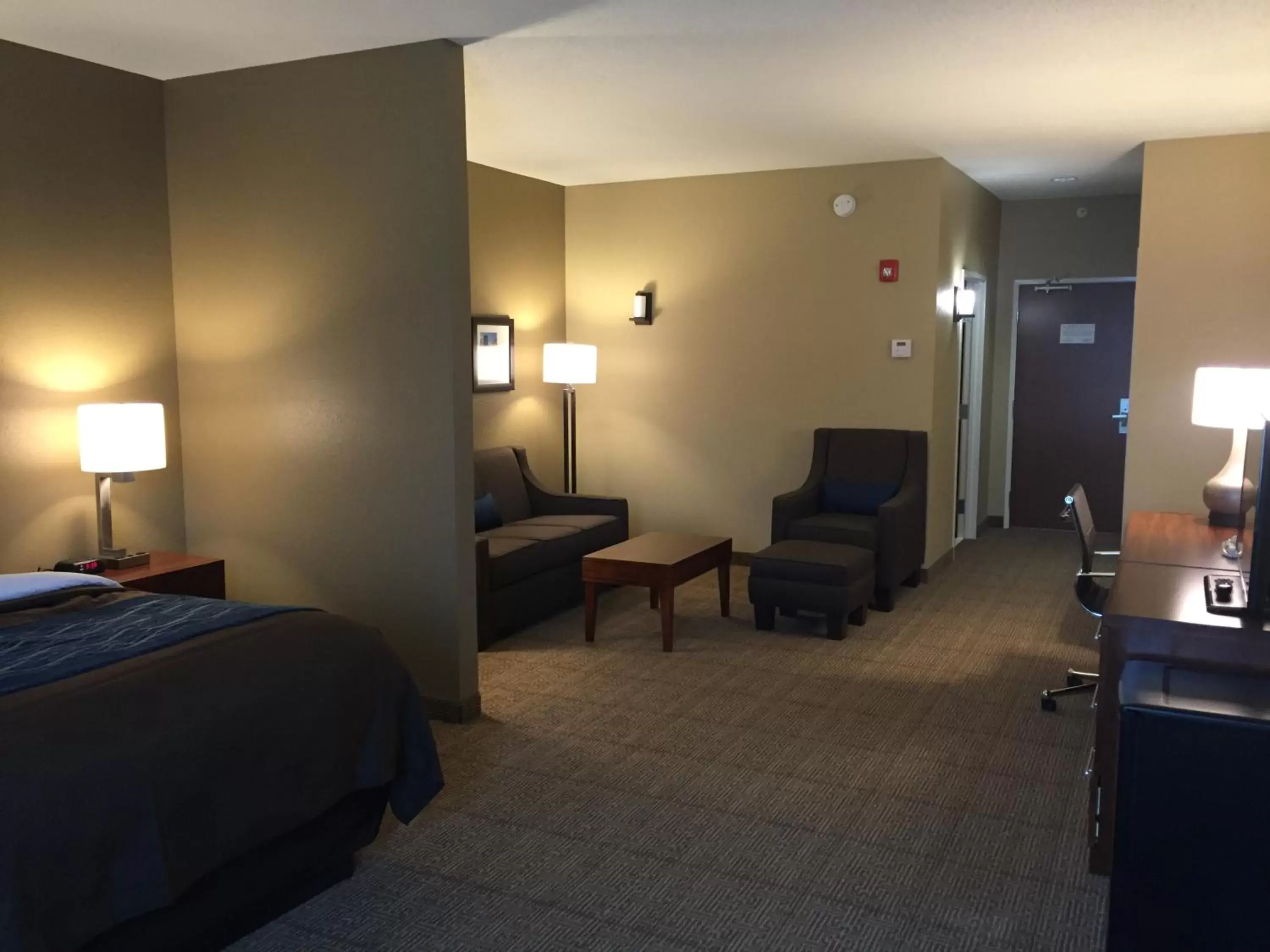 Seating Area in Comfort Inn & Suites Lynchburg Airport - University Area