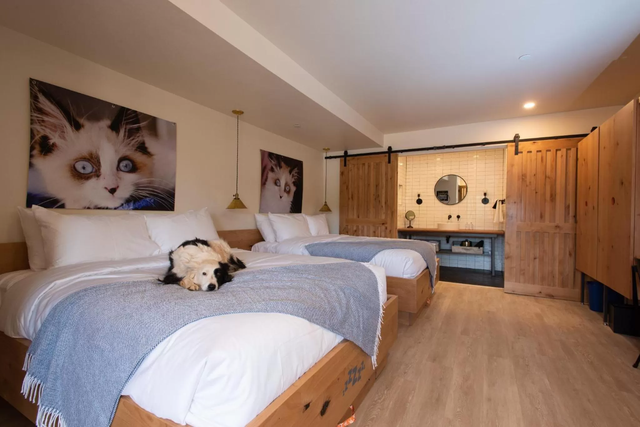 Bed in Best Friends Roadhouse and Mercantile