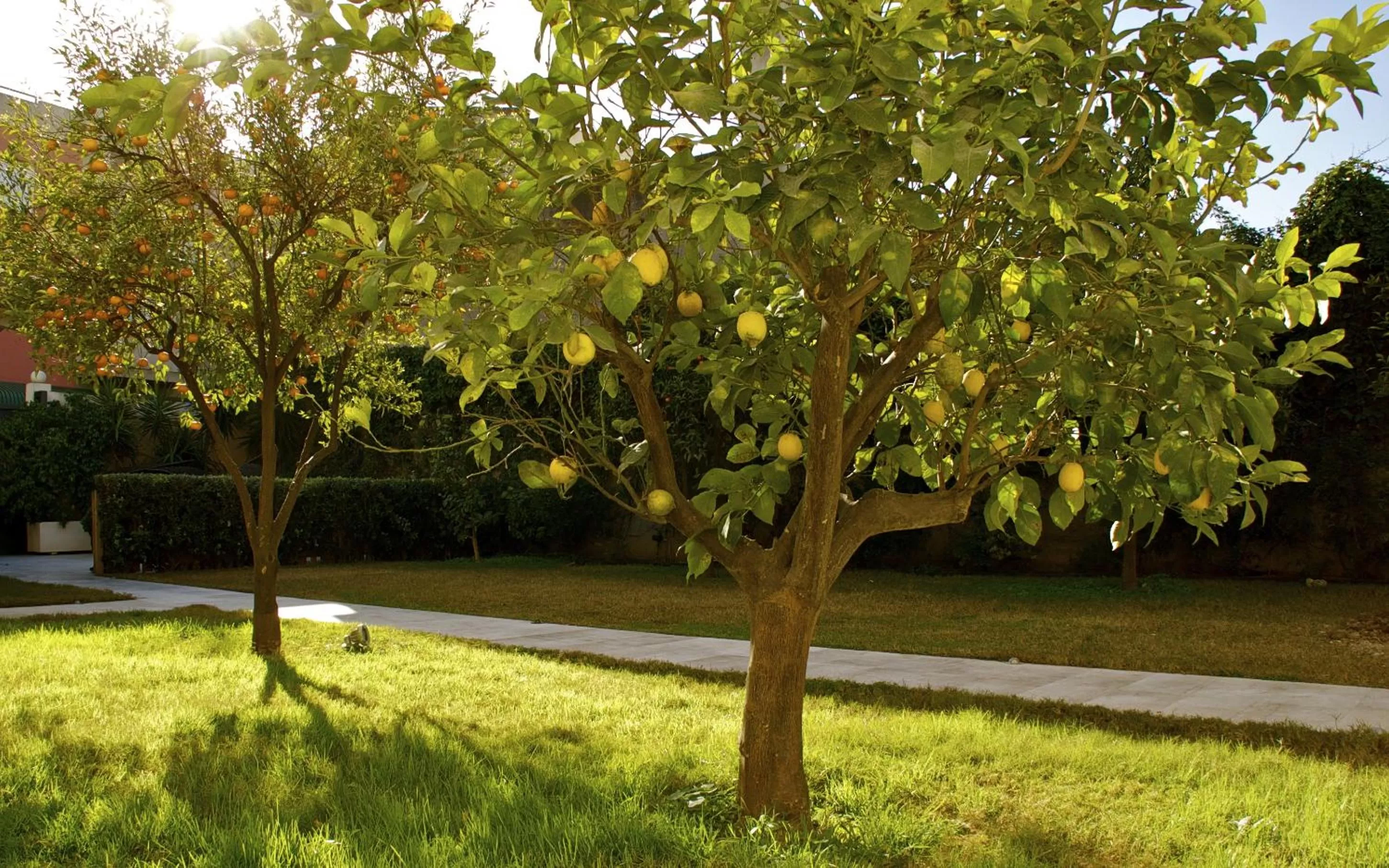 Garden in La Peonia Boutique B&B