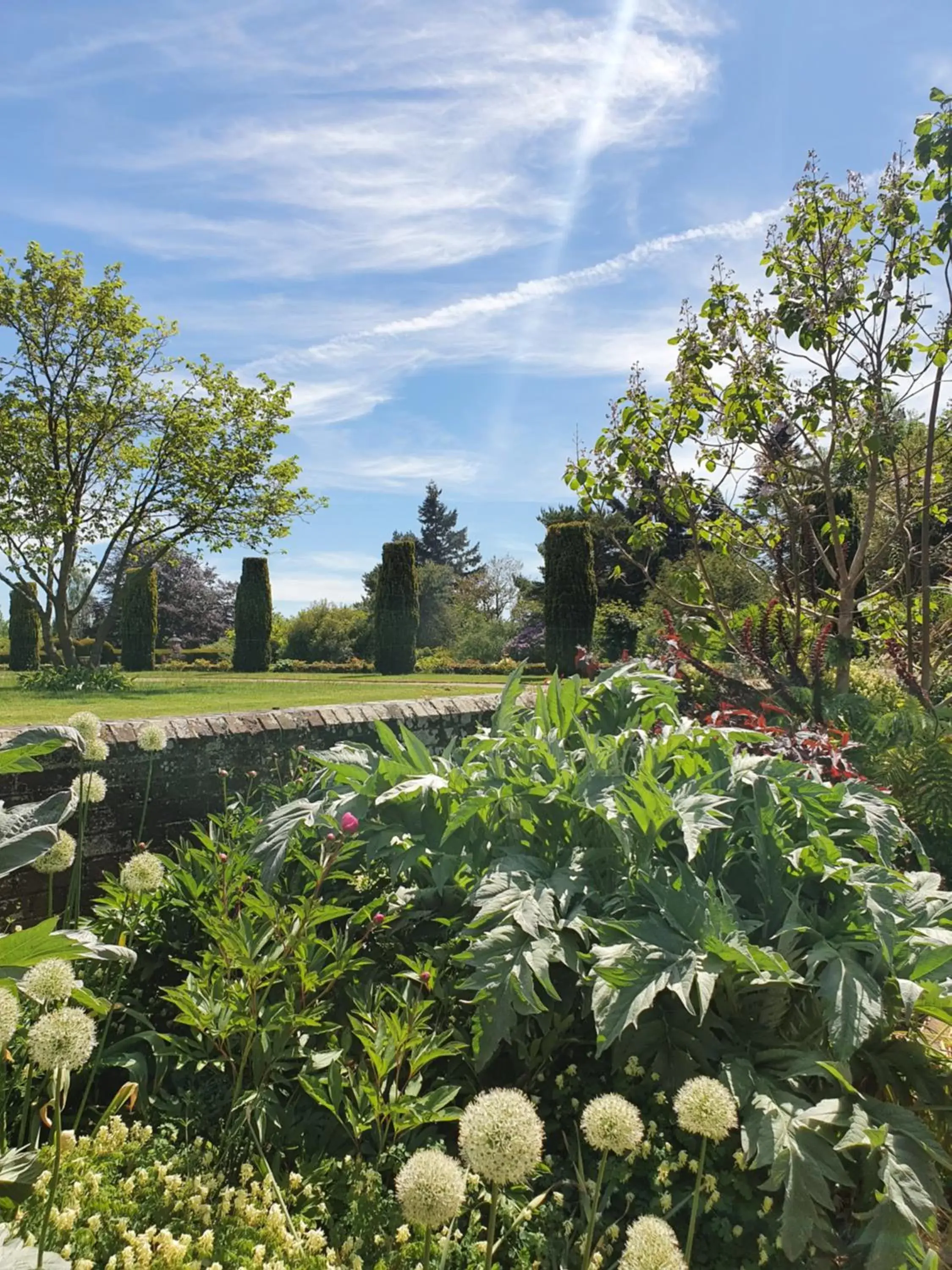 Garden in Barnett Hill Hotel