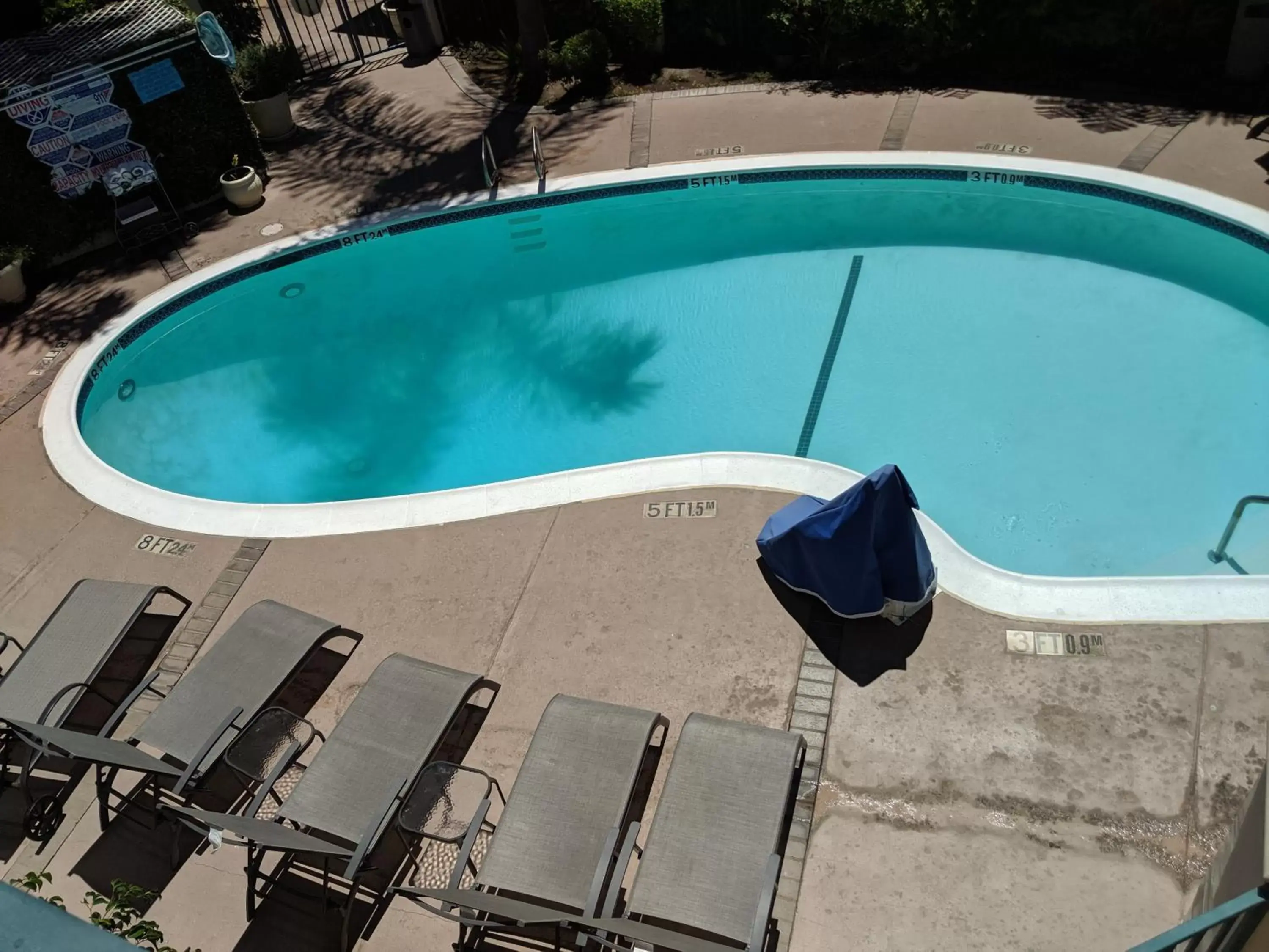 Swimming pool, Pool View in Tarzana Inn