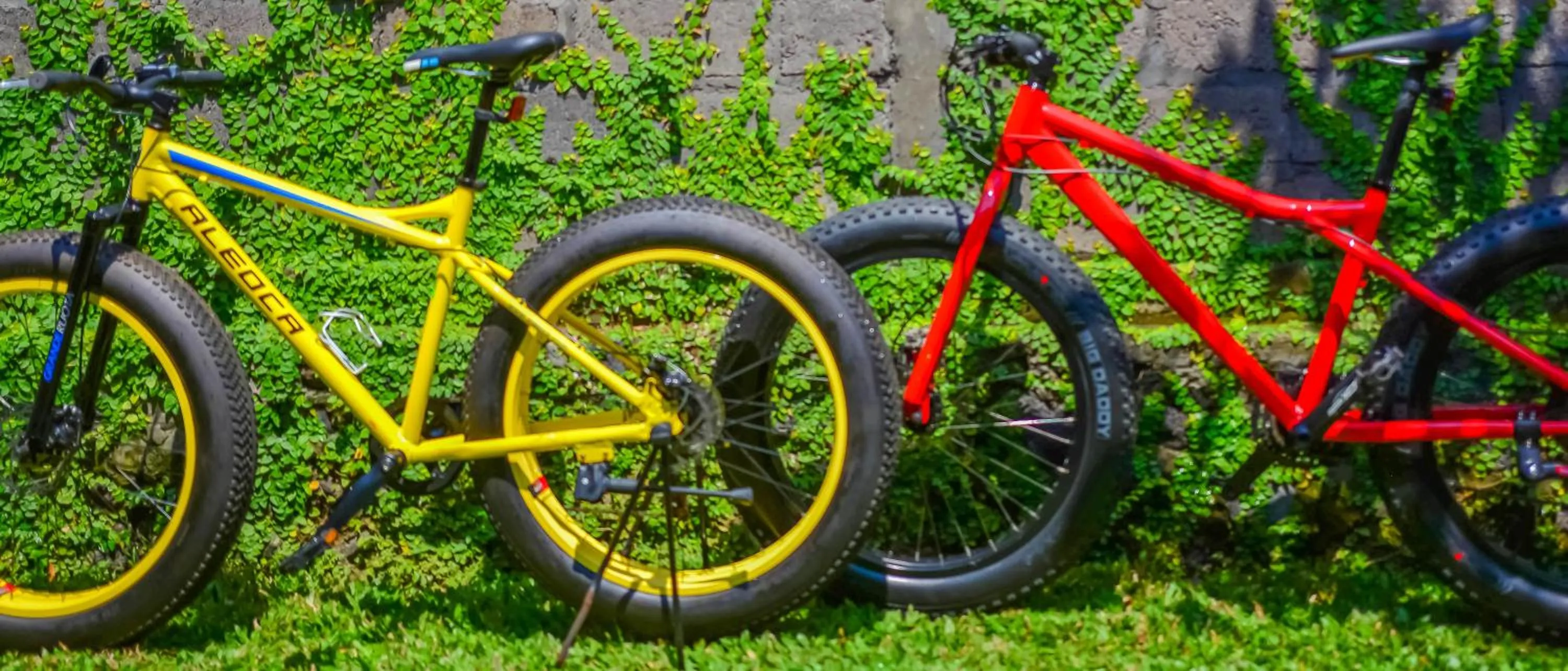 Cycling in Griya Sriwedari