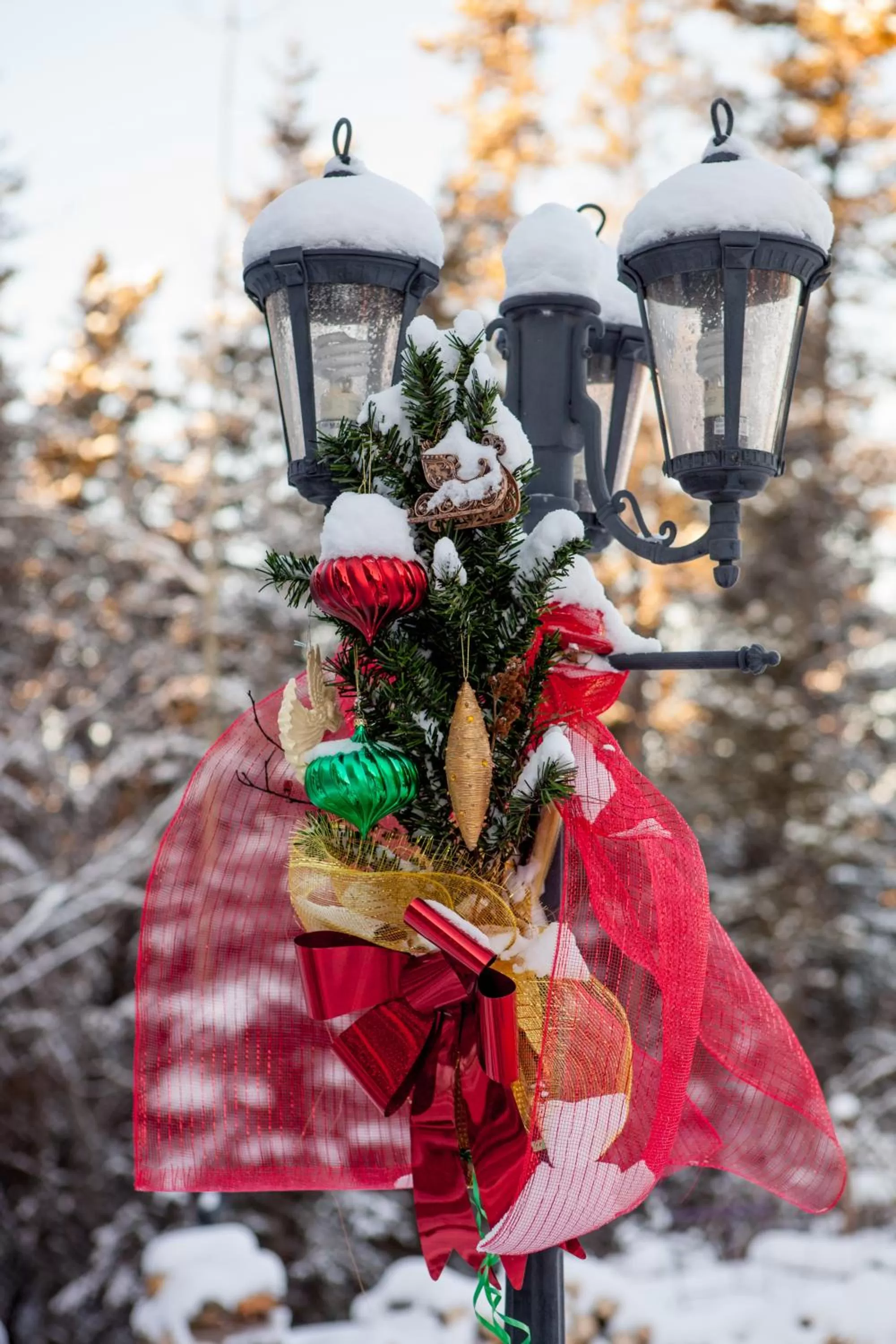 Balcony/Terrace in Hidden Valley Bed and Breakfast