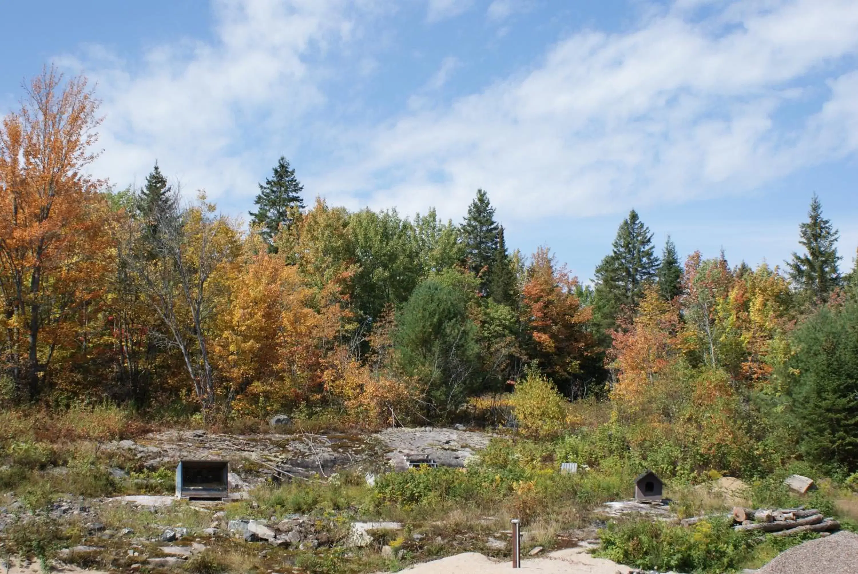 Natural landscape in Top of Algonquin Bed and Breakfast