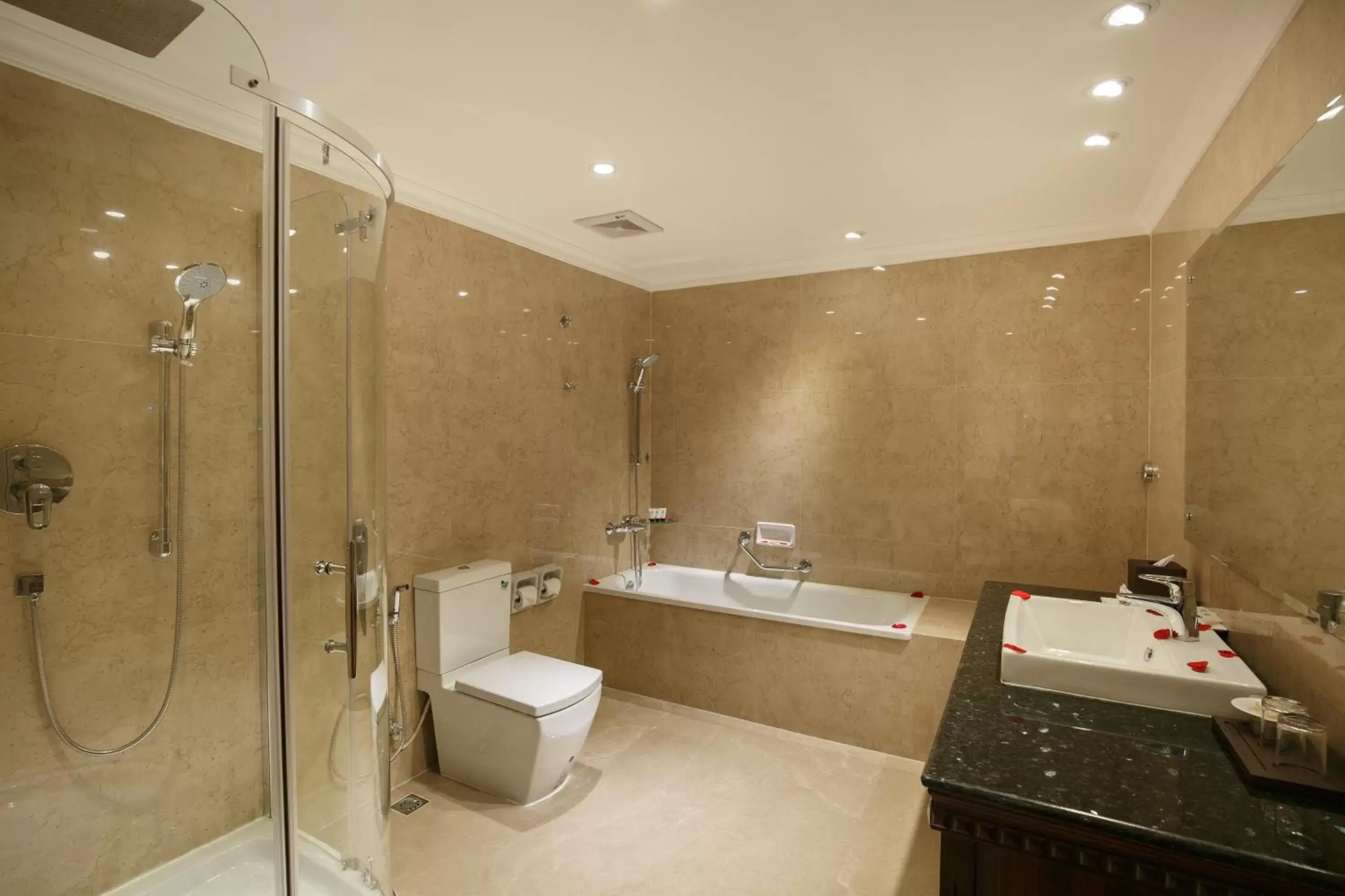Shower, Bathroom in Hotel Shanker