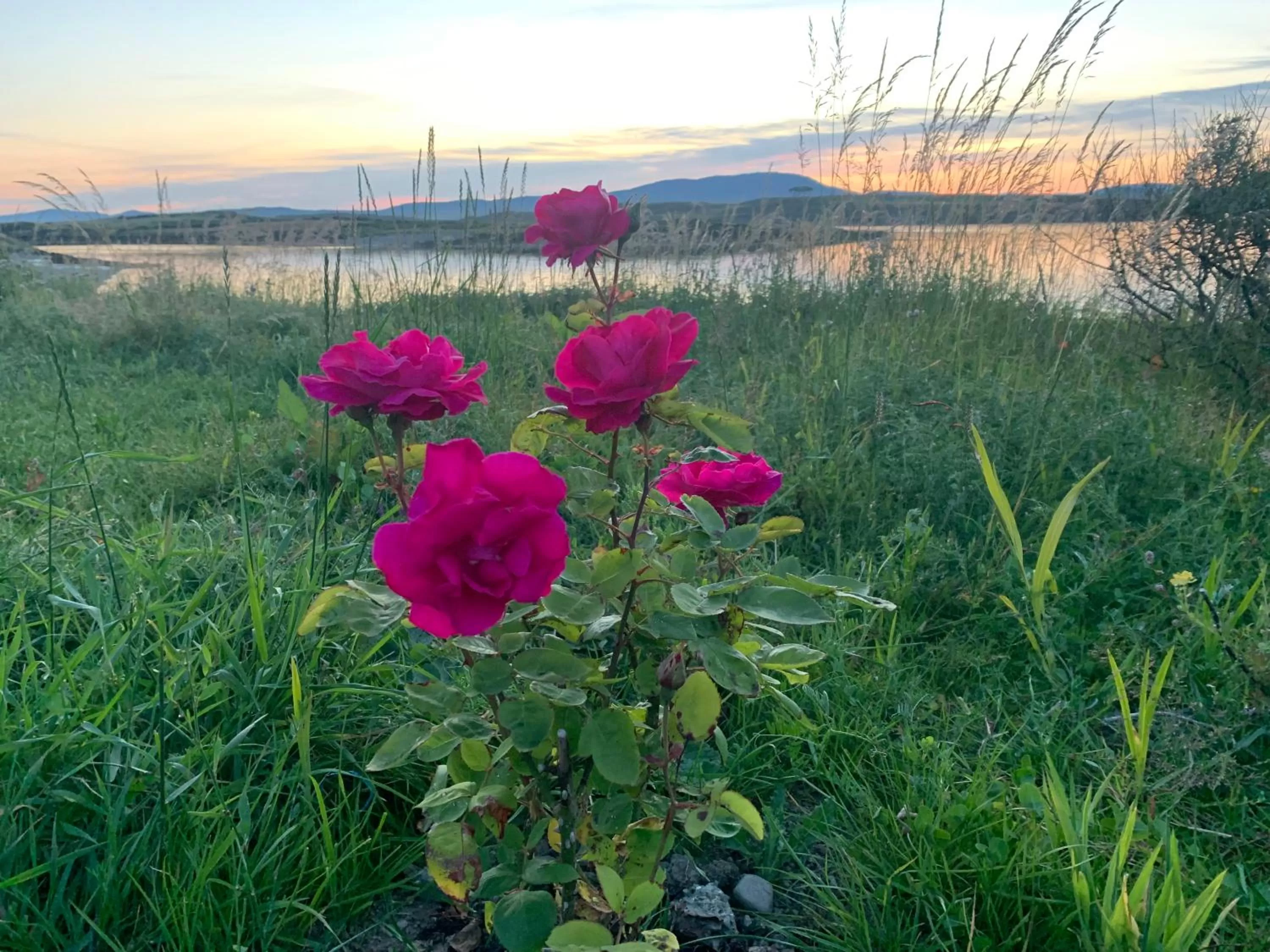 Natural landscape in Heir Island House
