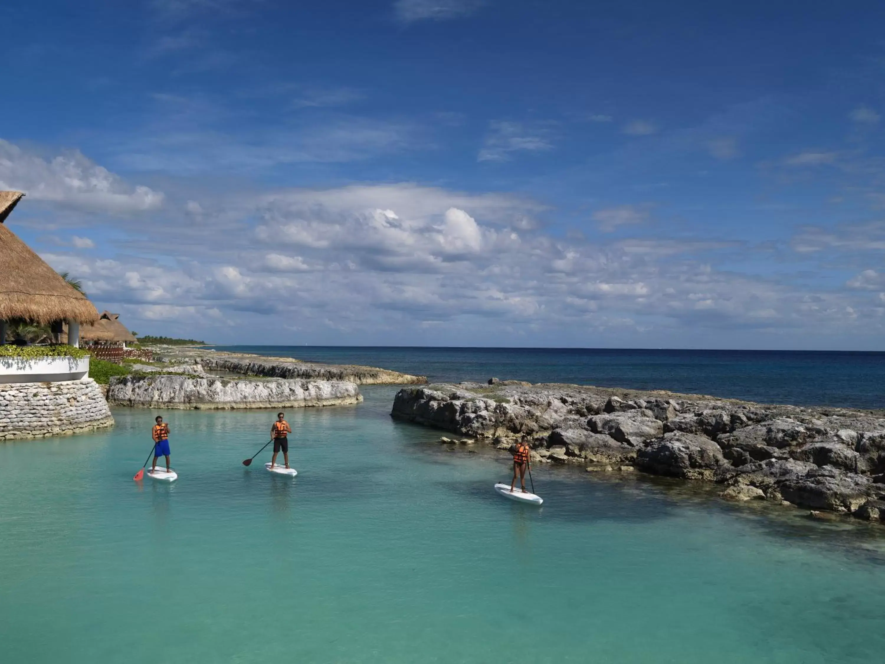 Natural landscape in Hard Rock Hotel Riviera Maya- Heaven Section (Adults Only) All Inclusive