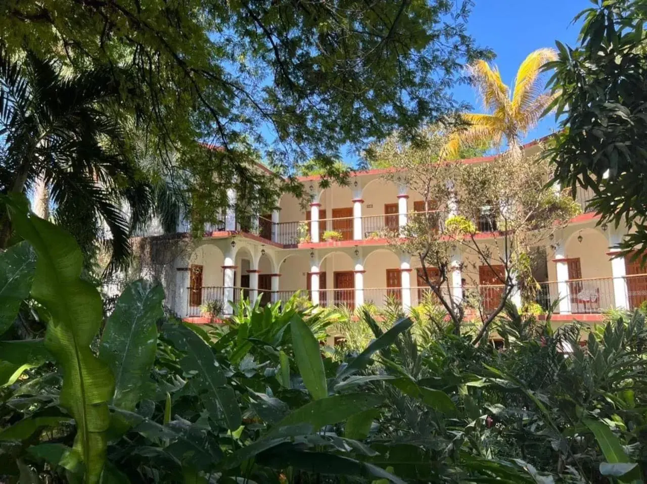 Garden, Property Building in Hotel La Ceiba