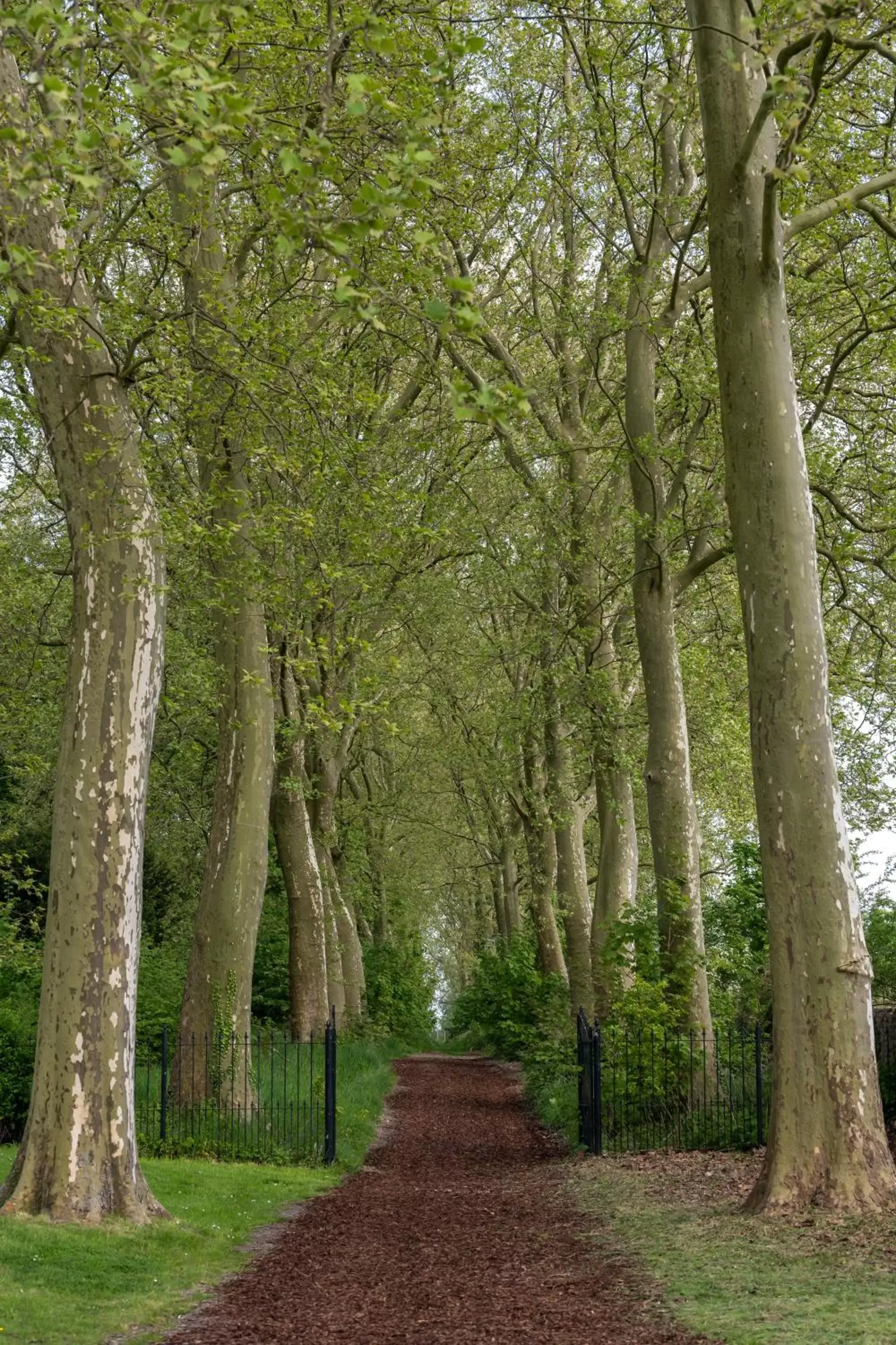 Natural landscape in Martin's Rentmeesterij