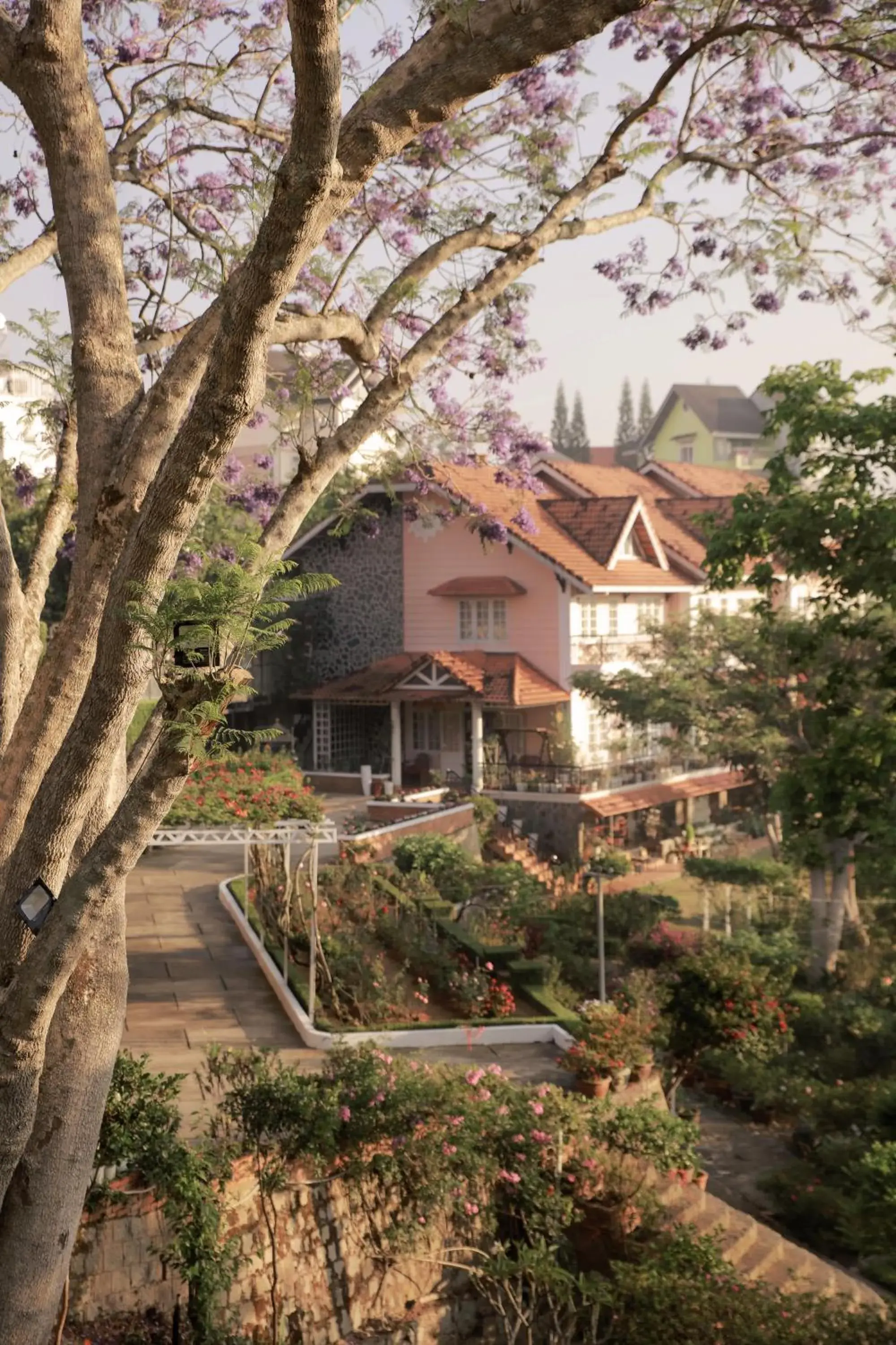 Property Building in Dalat Terrasse Des Roses Villa