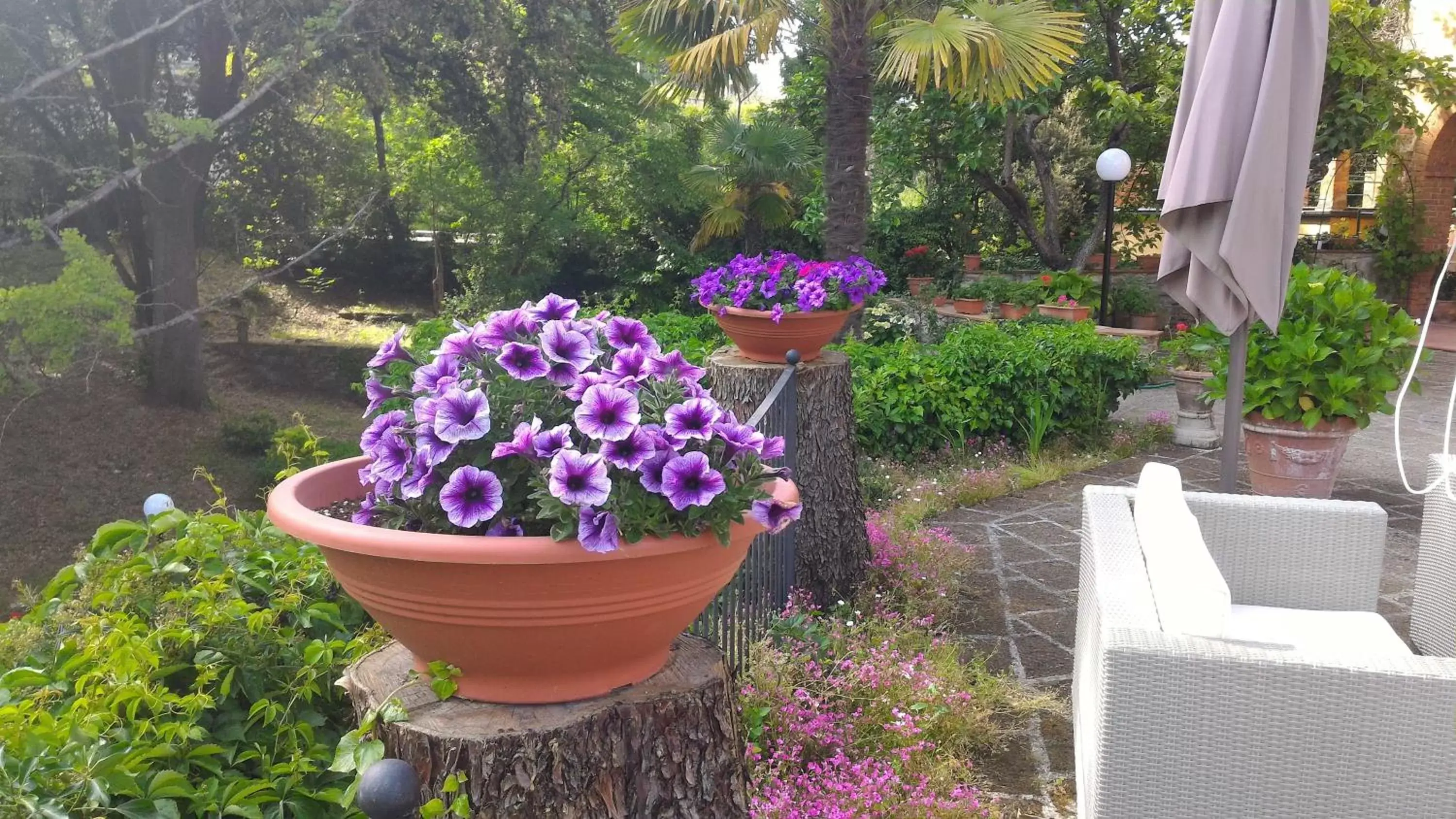 Garden, Banquet Facilities in Villa La Nussa