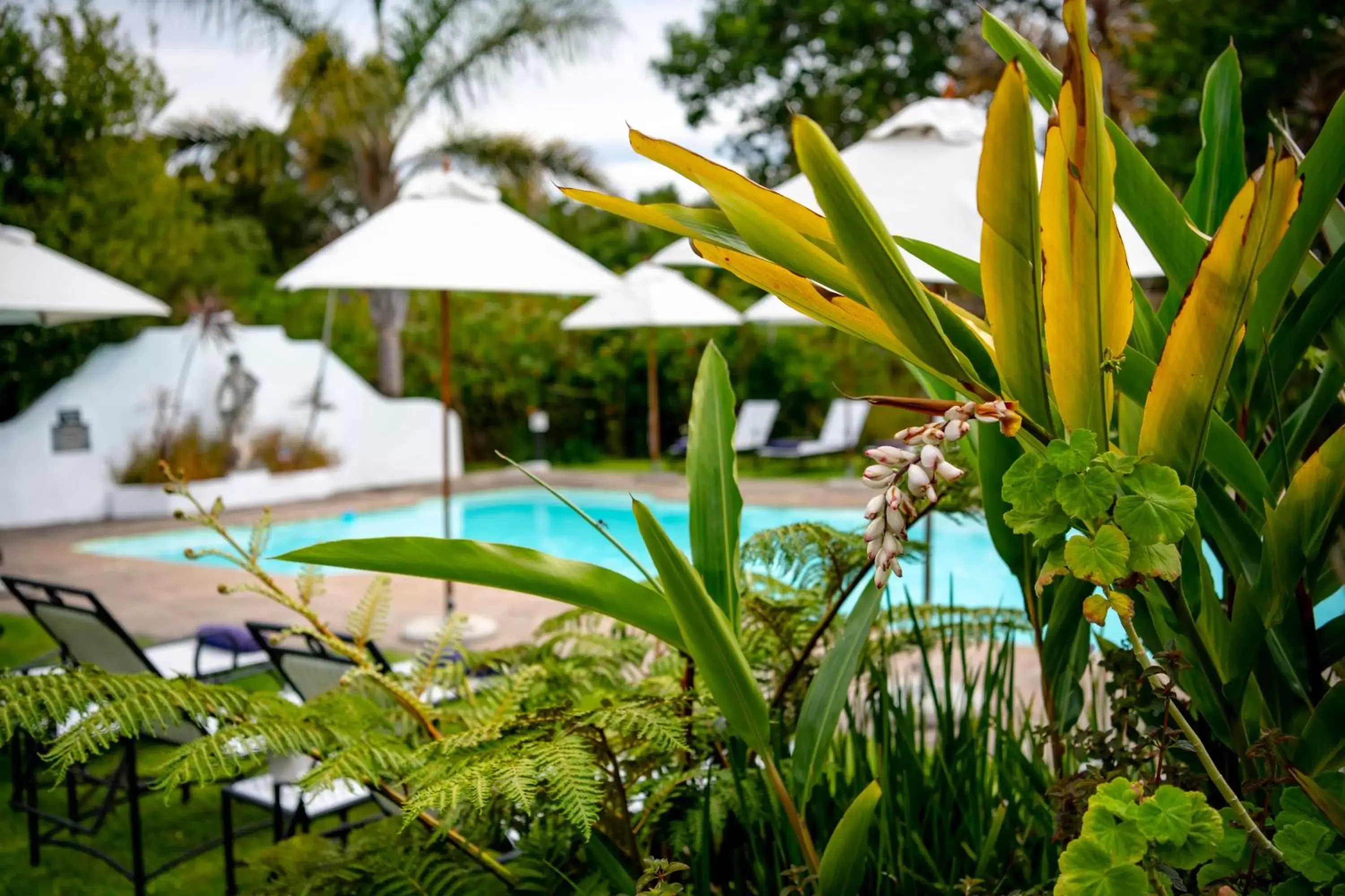 Day, Swimming Pool in Hunter's Country House