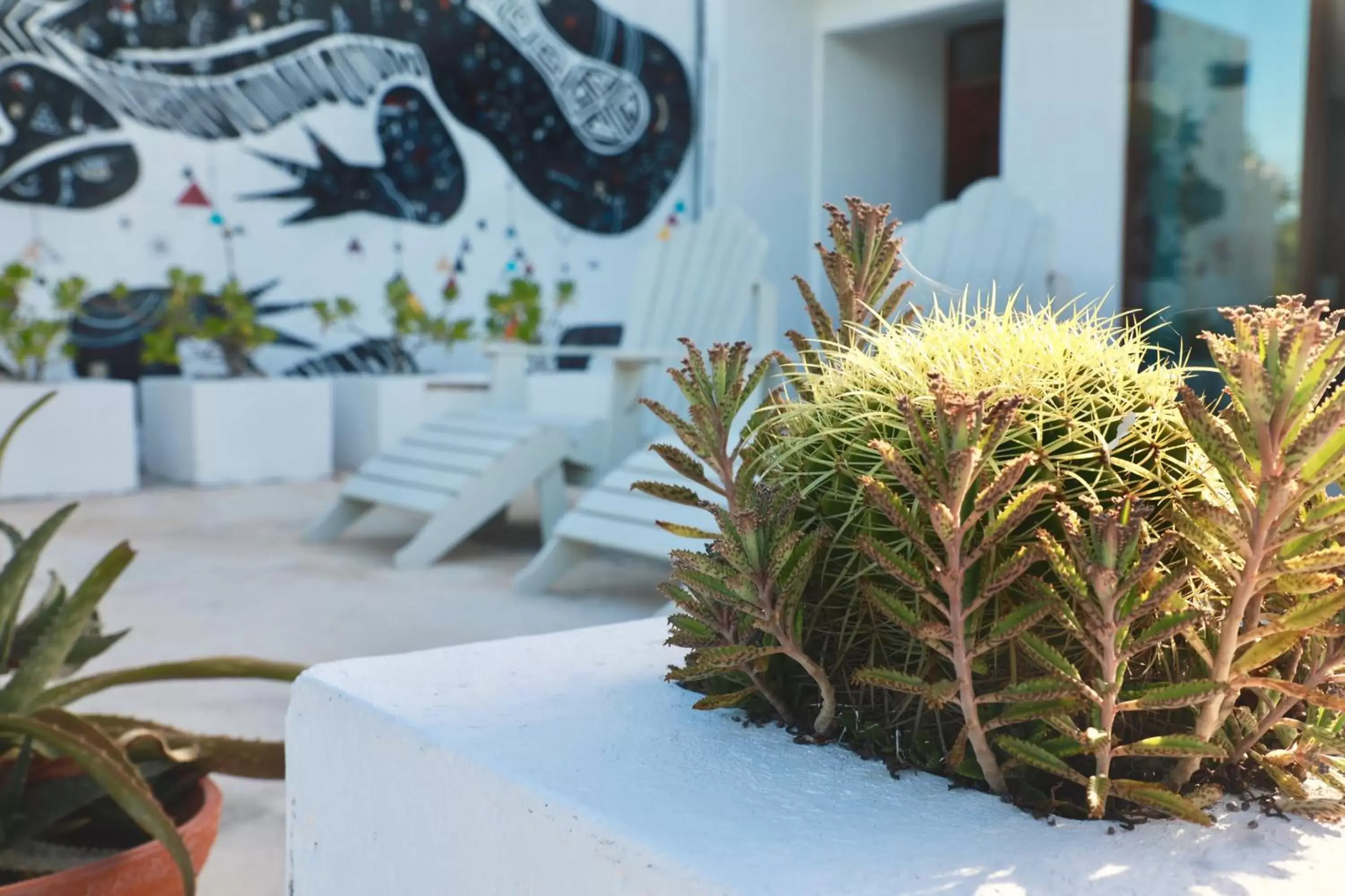 Balcony/Terrace in Residencia Gorila