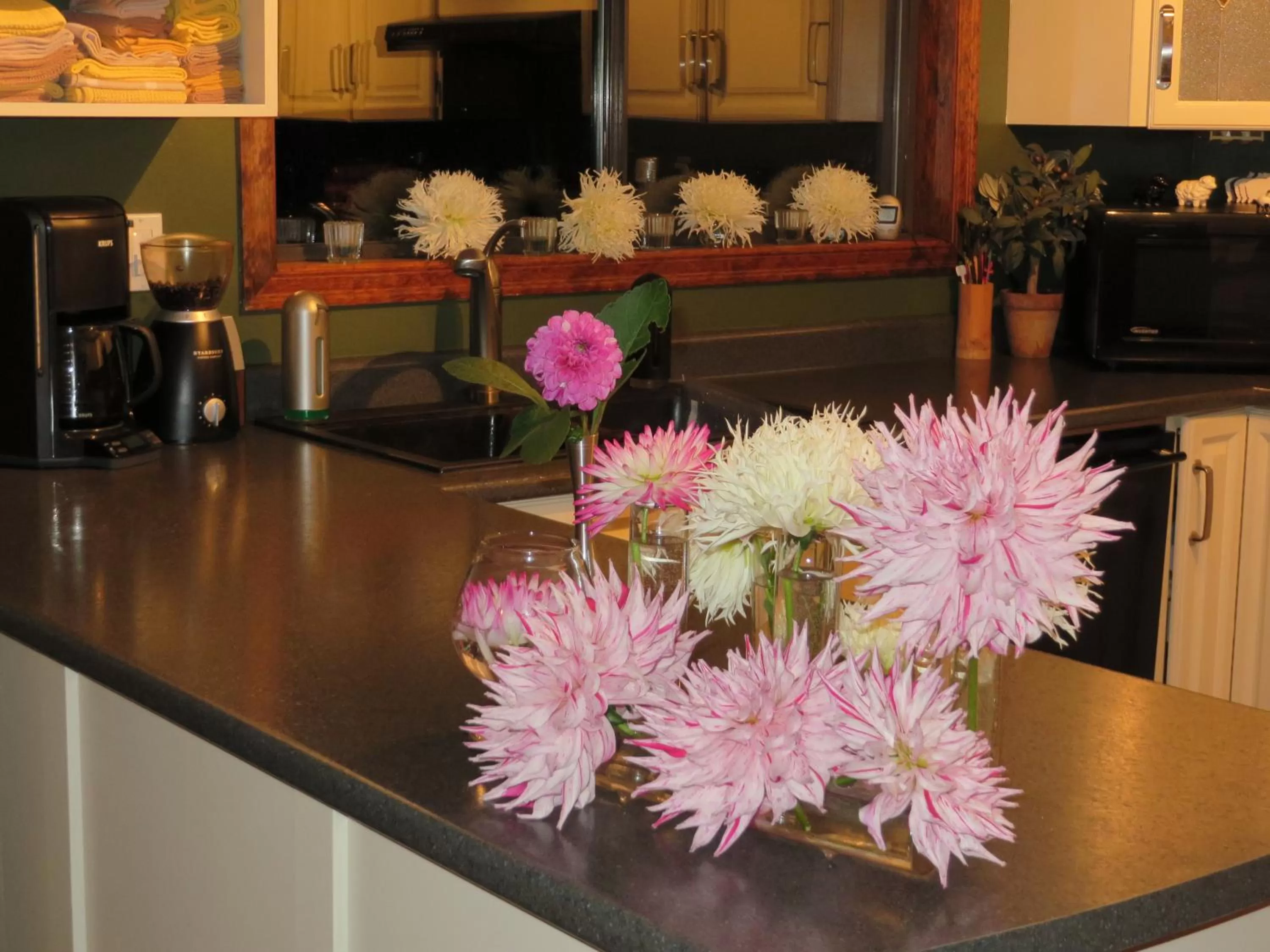 Misty Meadows B and B