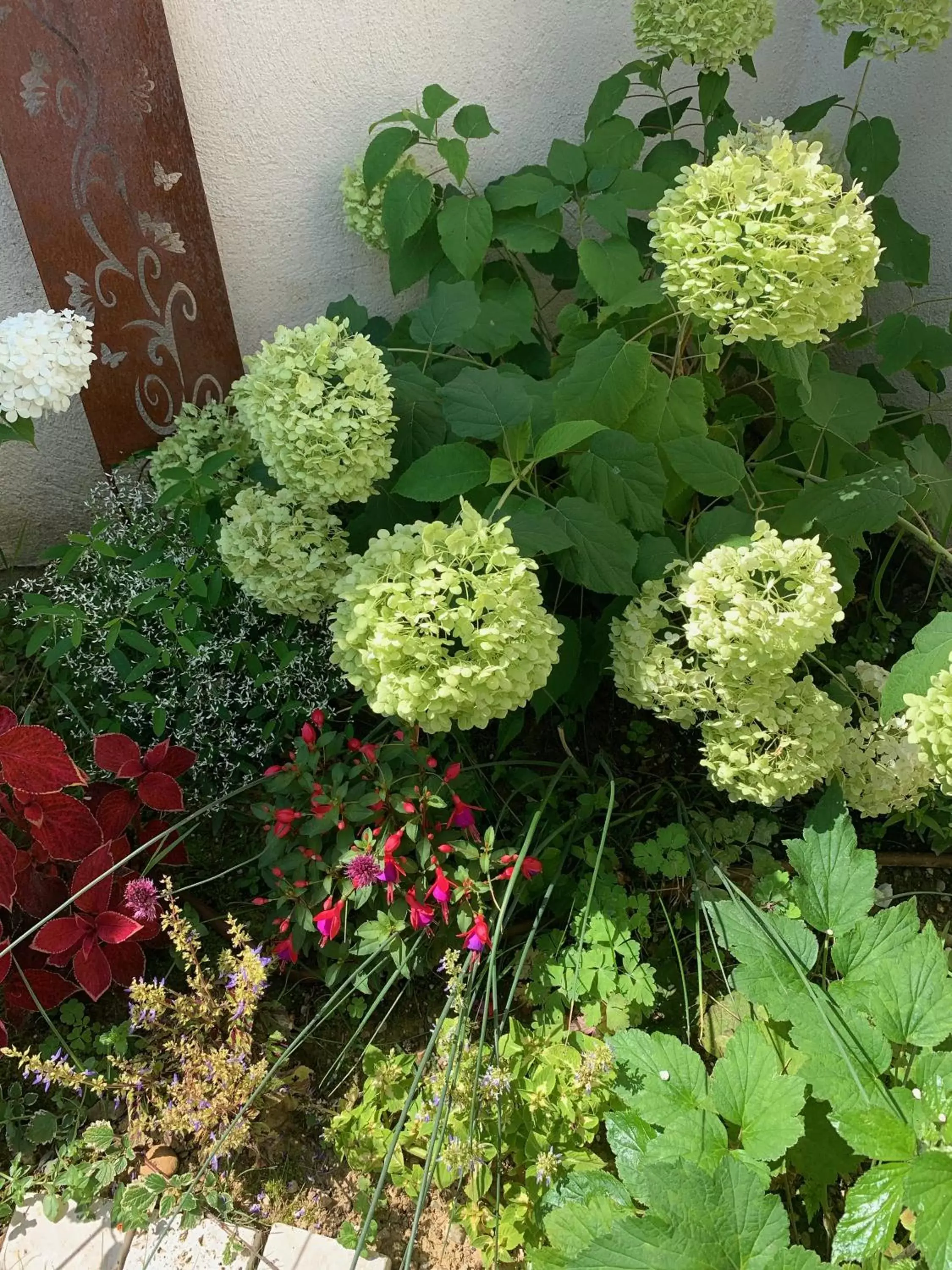 Garden in La Glycine B&B