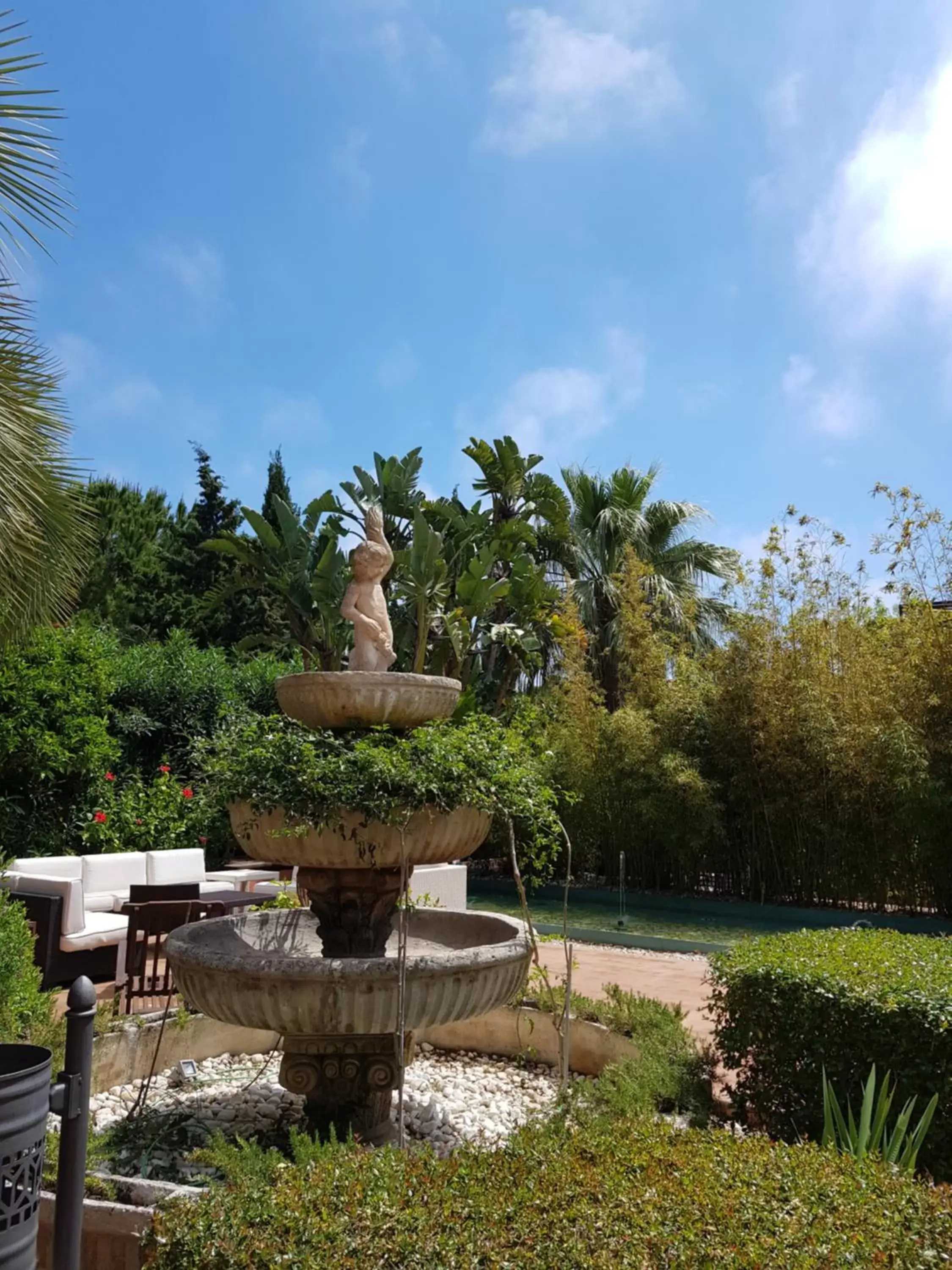 Garden in Hotel MR Les Rotes