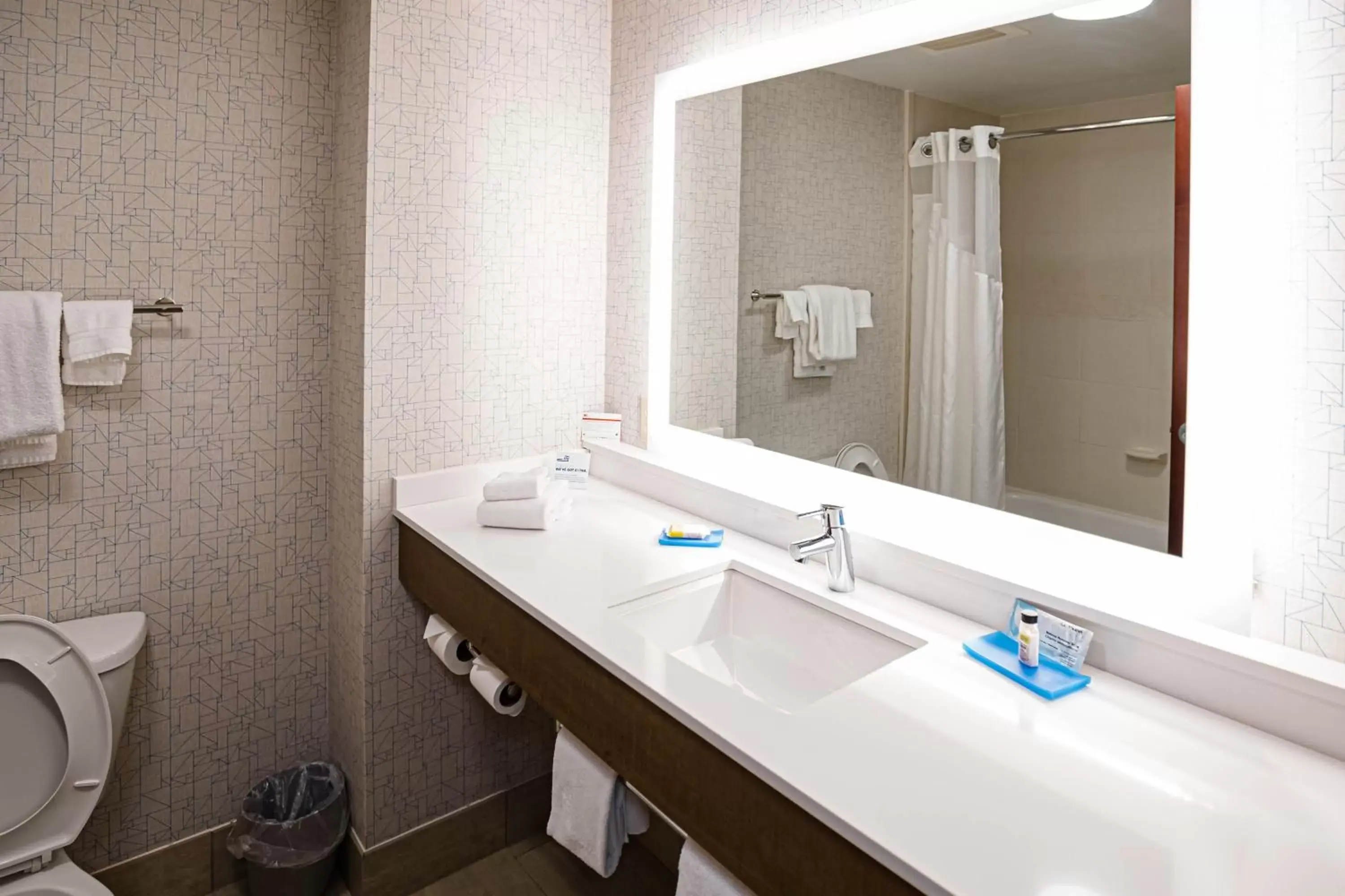 Bathroom in Holiday Inn Express & Suites Knoxville-Farragut, an IHG Hotel