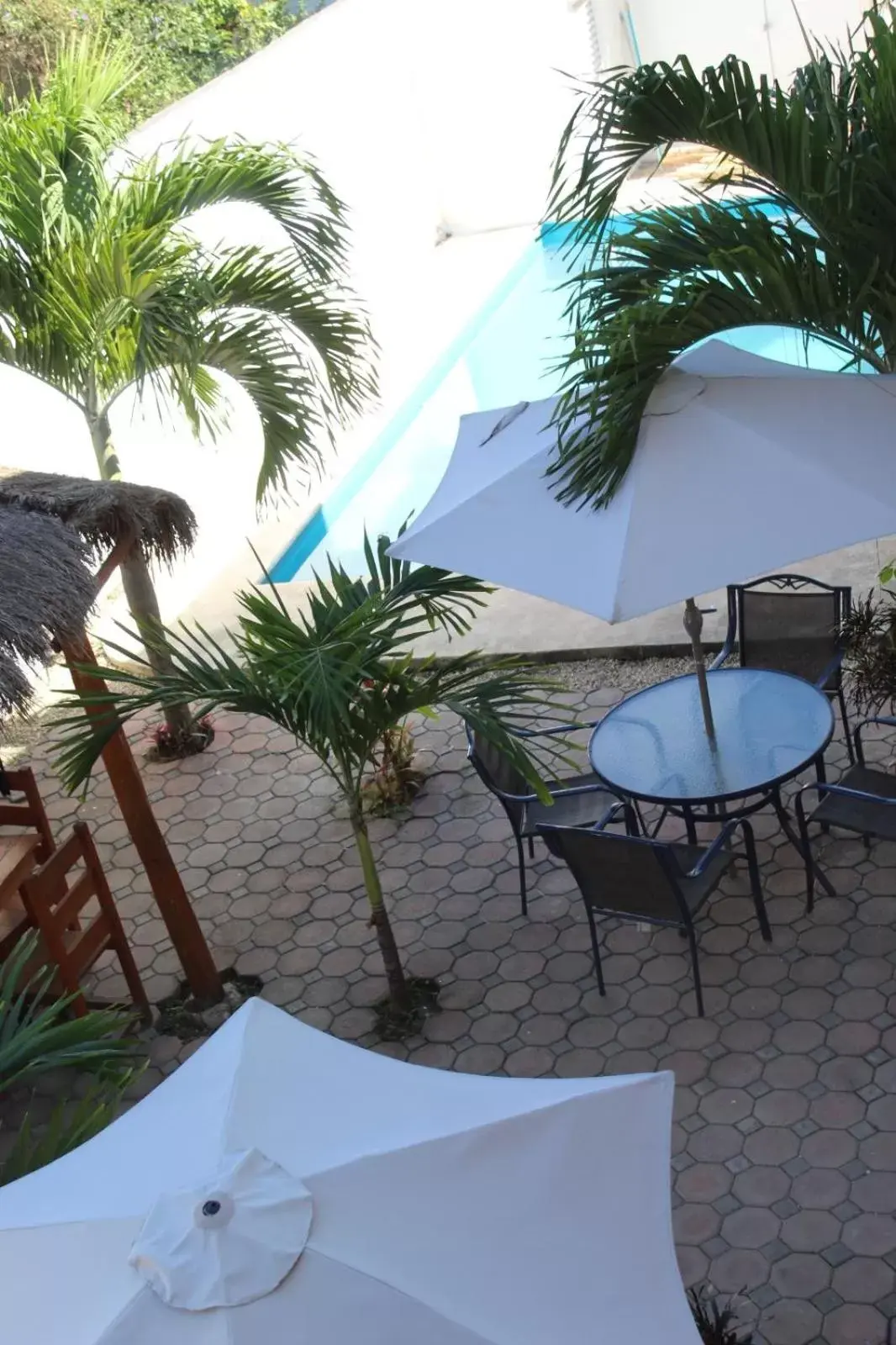 Pool view in hotel stella maris tulum