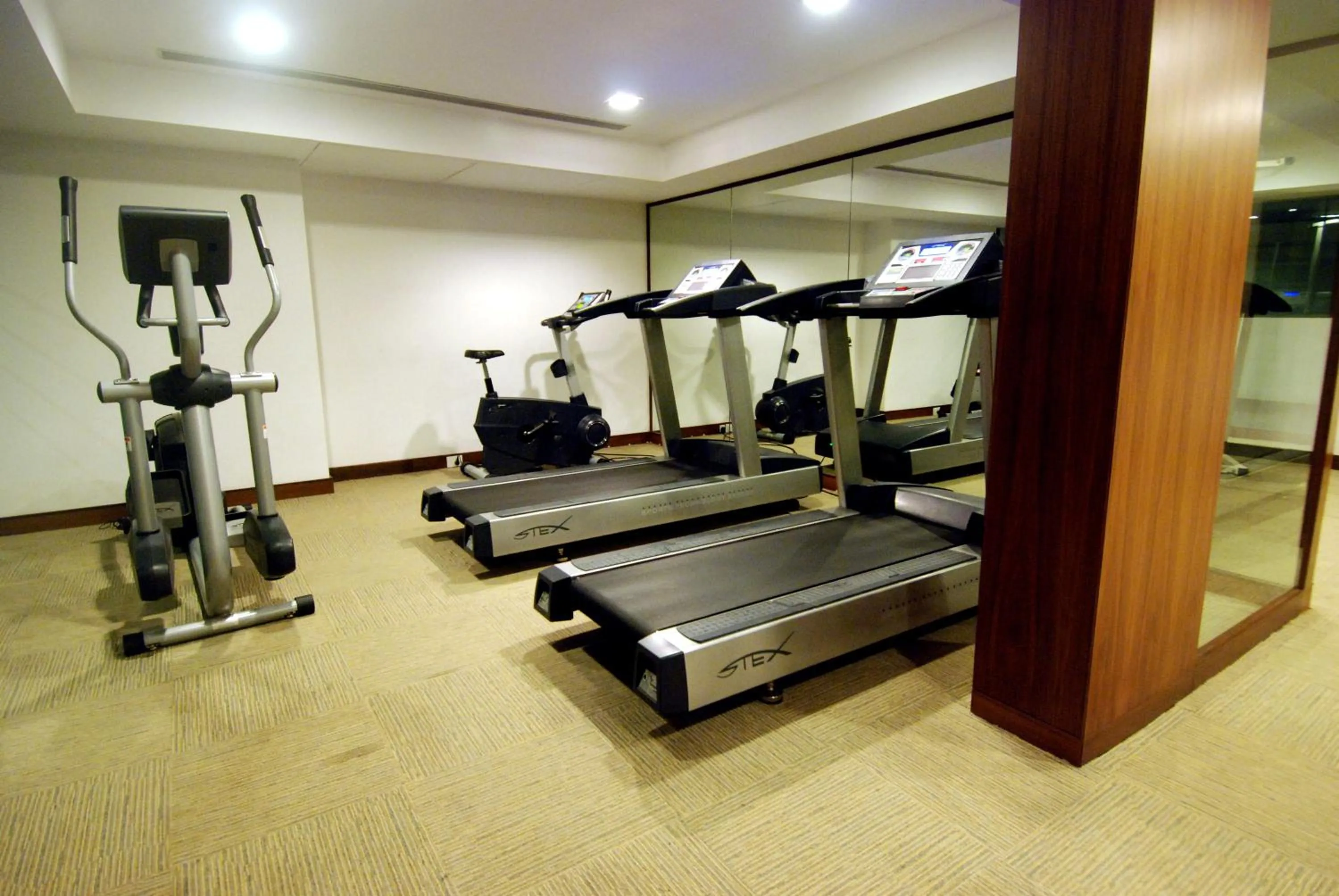 Fitness centre/facilities in Hotel Parc Estique