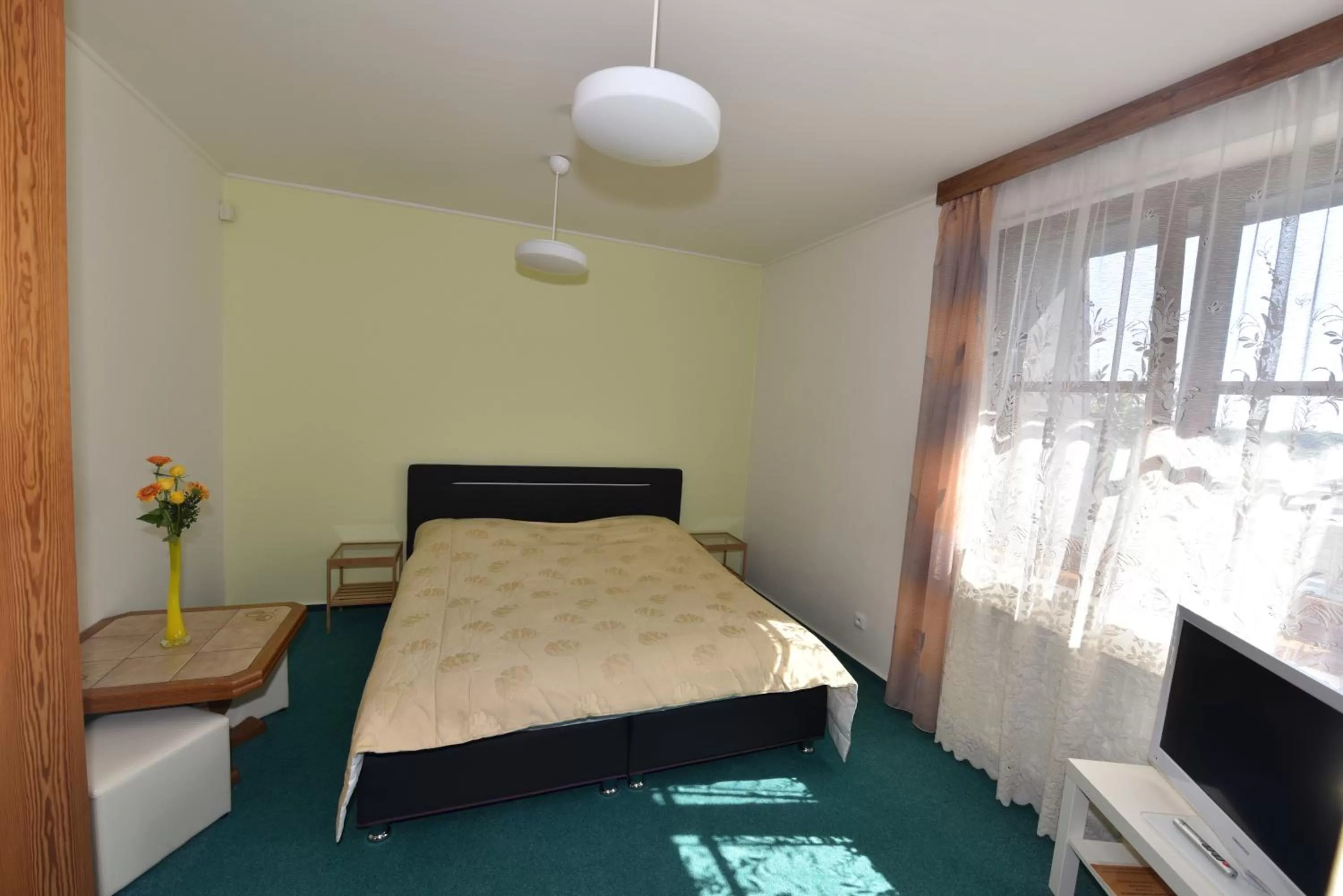 Shower, Bed in Hotel Trilobit