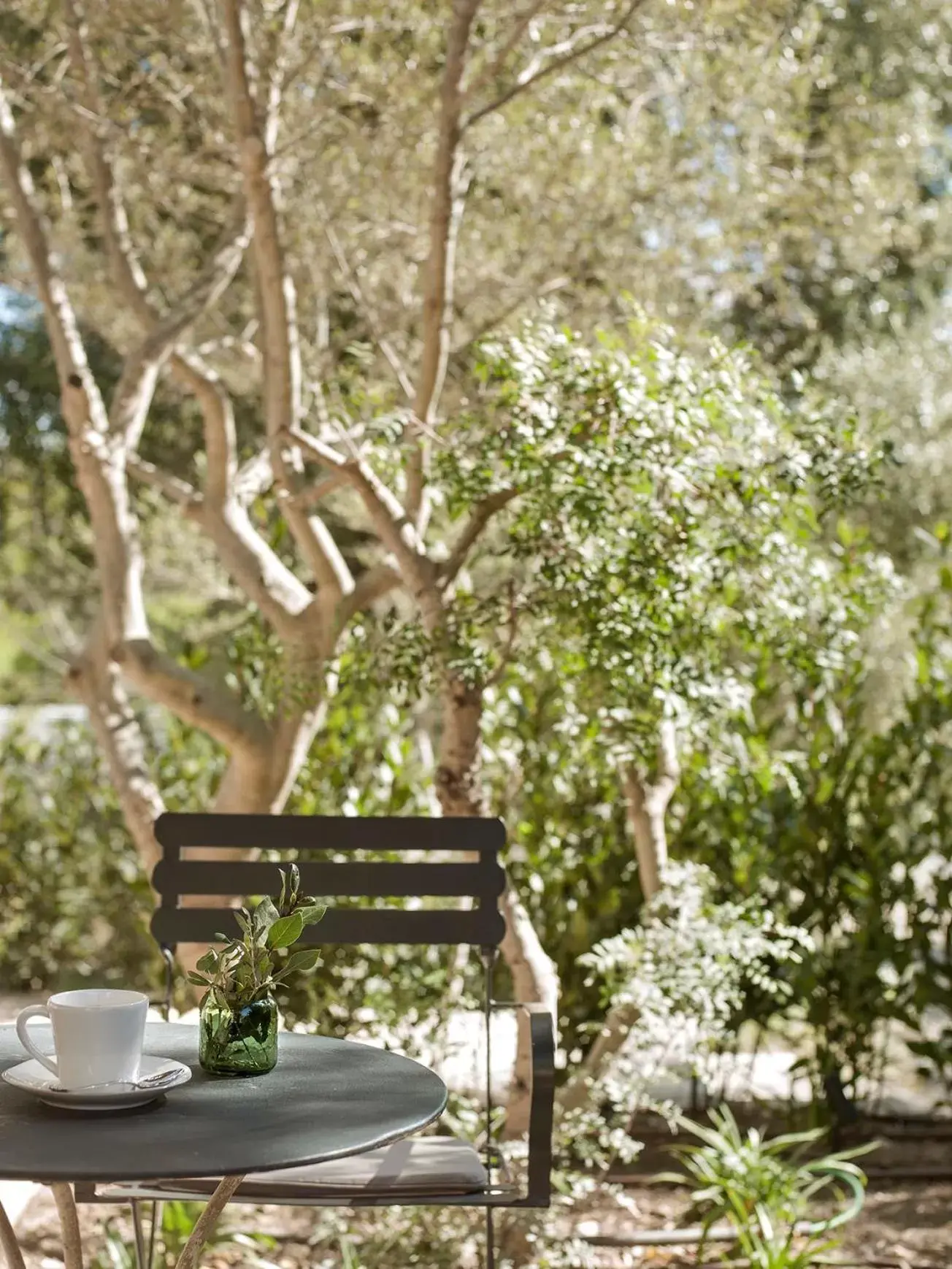 Finca Serena Mallorca, Small Luxury Hotels