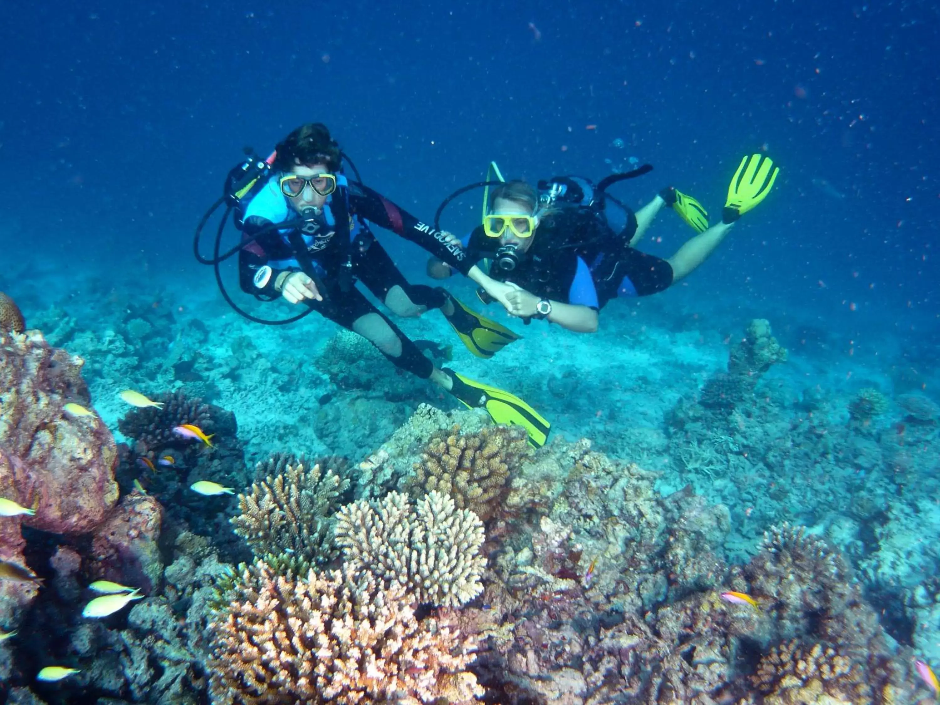 Diving, Snorkeling/Diving in Canareef Resort Maldives