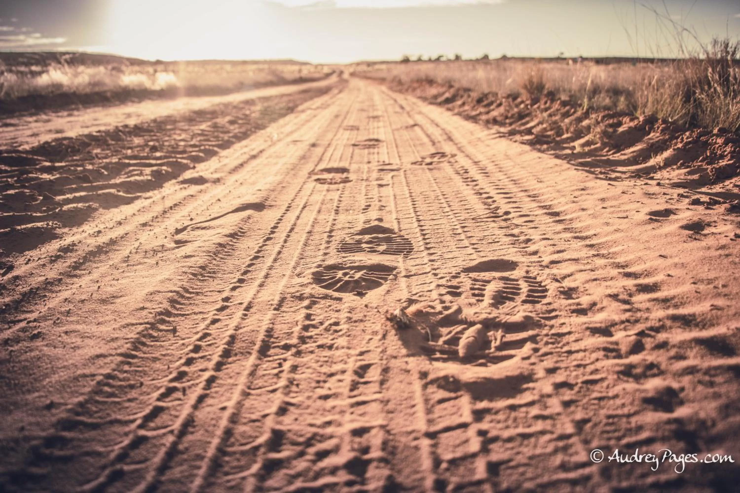 Spring in Shash Dine' EcoRetreat