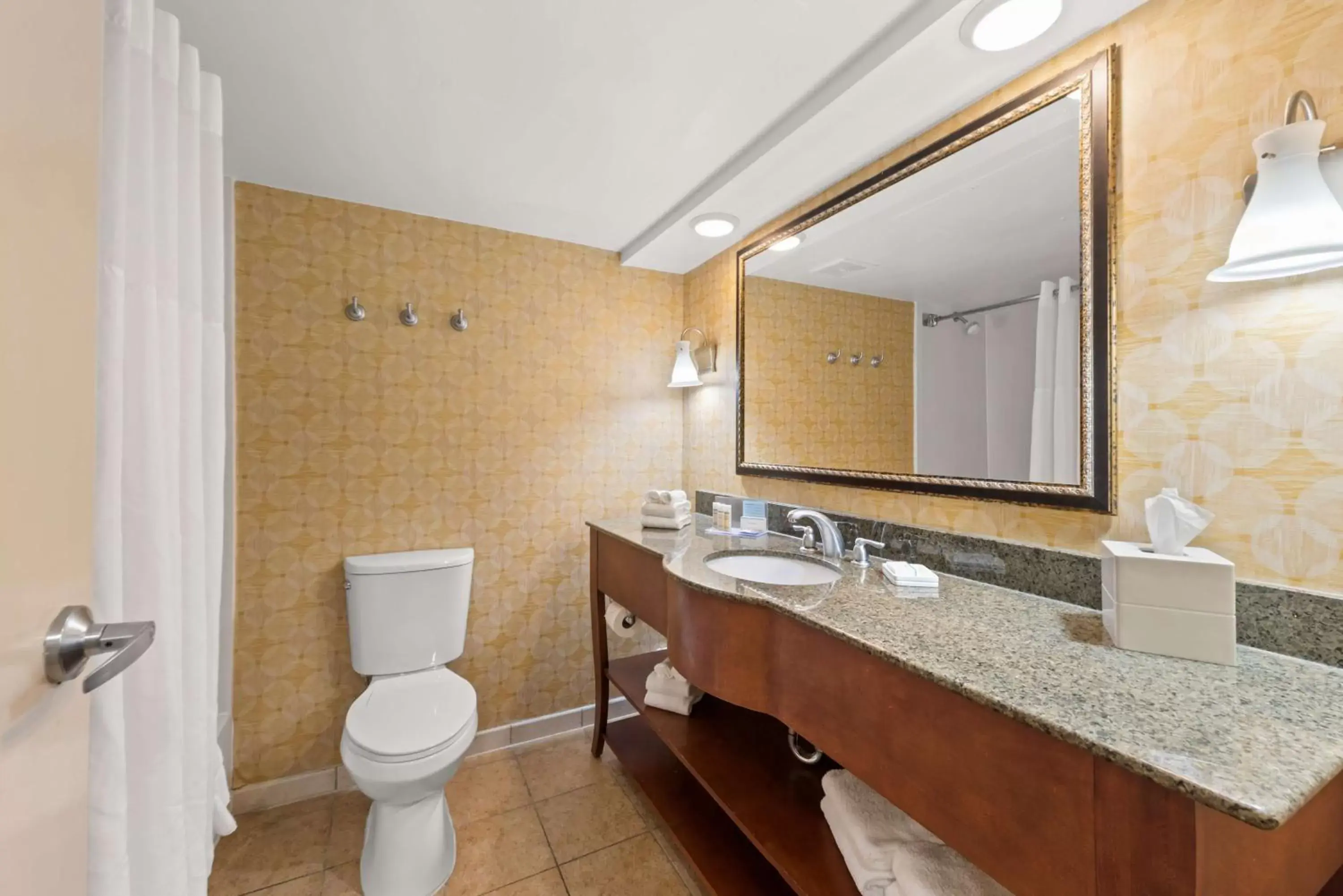 Bathroom in Hampton Inn Miami-Airport West