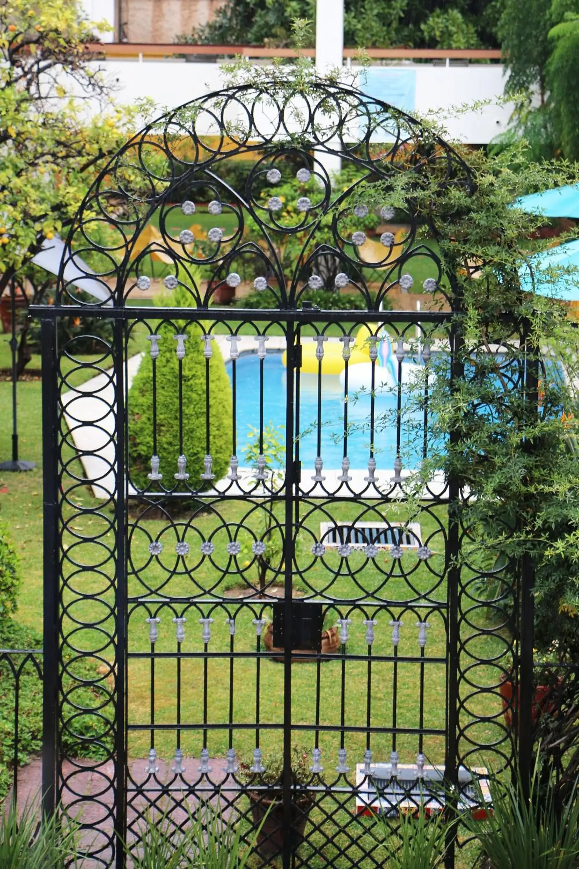 Garden in Hotel Isabel